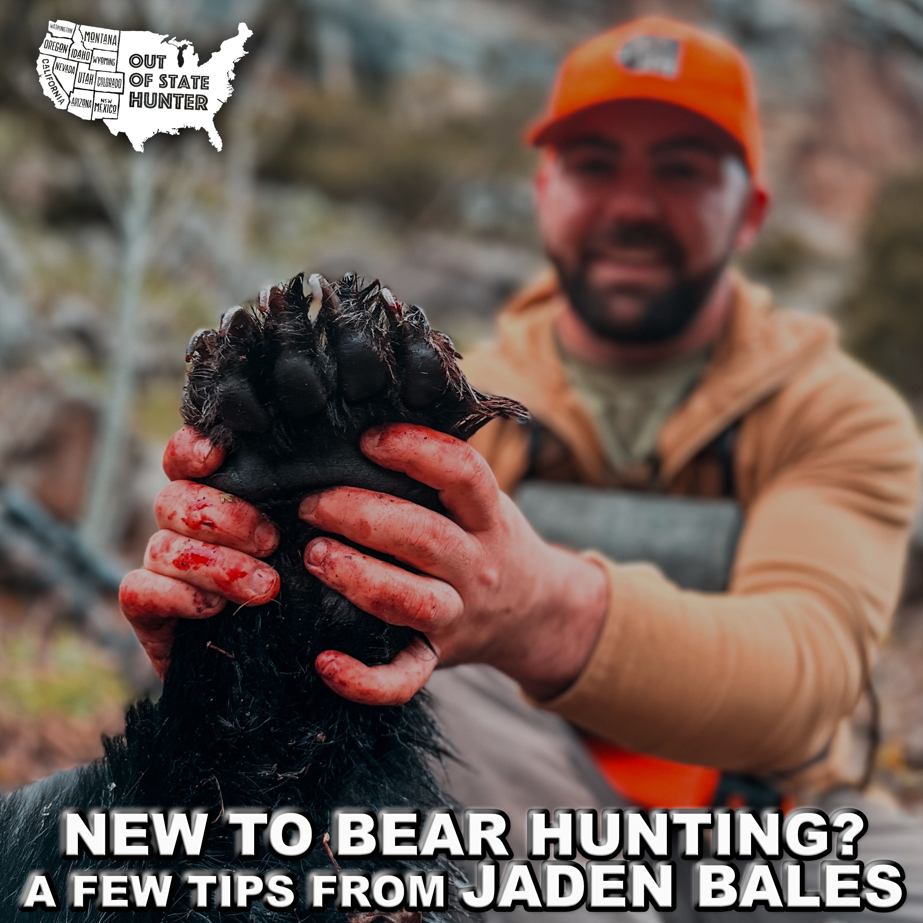 Spring Bears & Wyoming Draw Secrets with Jaden Bales