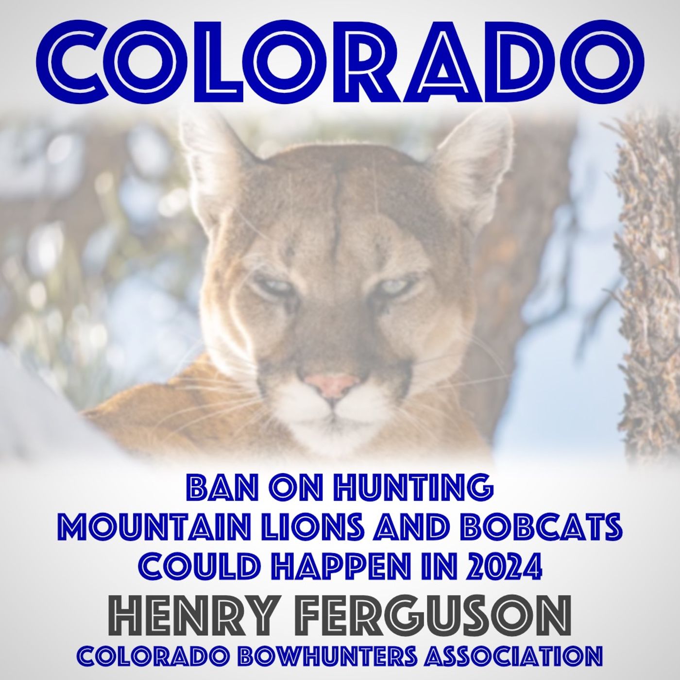 COLORADO – A Lot Of Things Are Happening In Colorado – Henry Ferguson