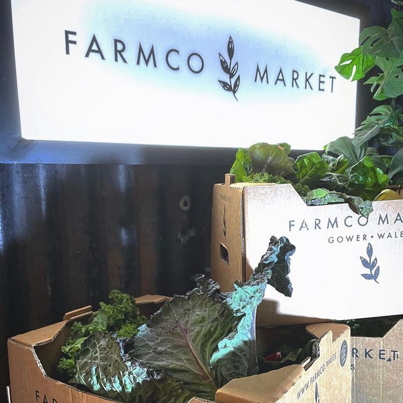 Farm Co.