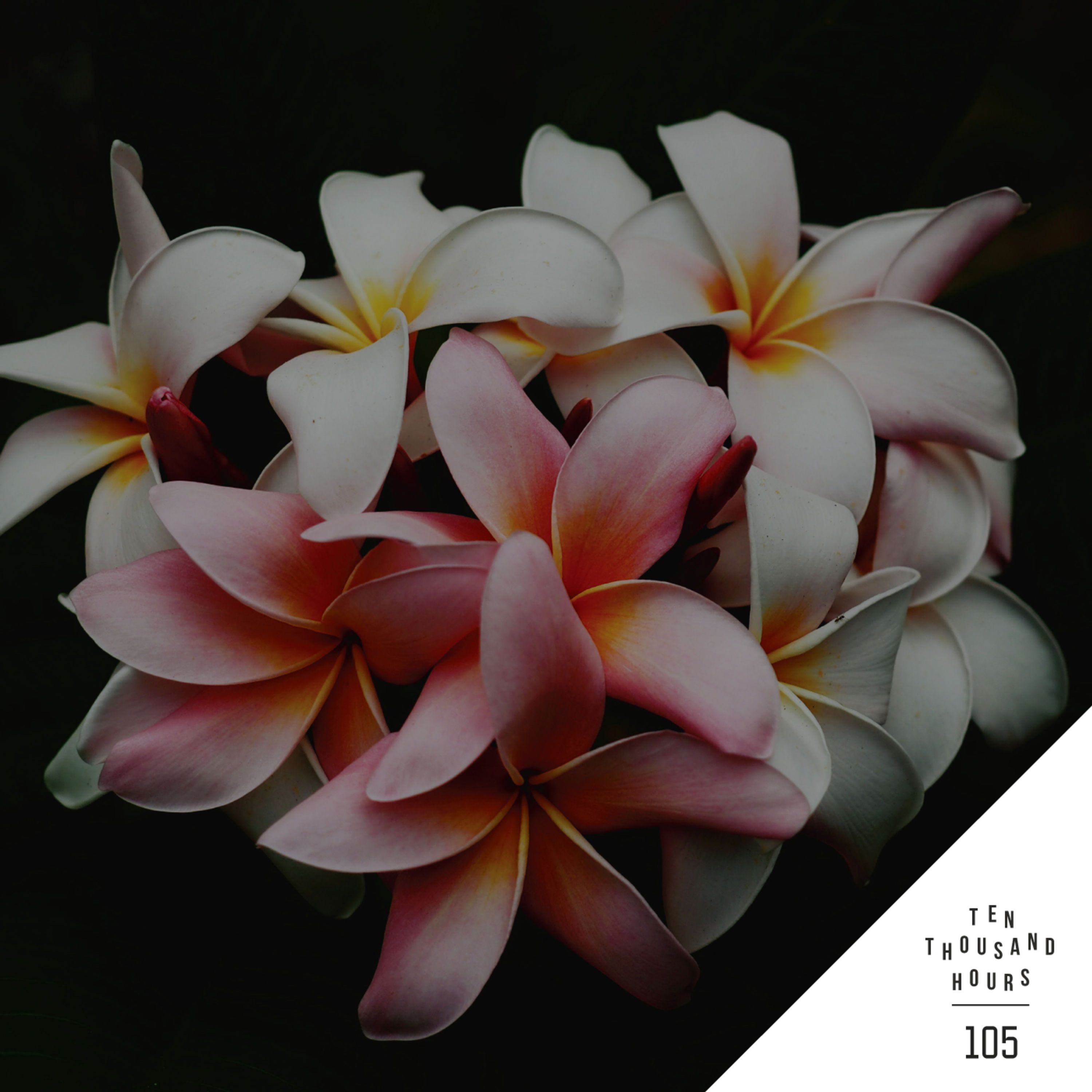 105 Iteration with Grant & Vince