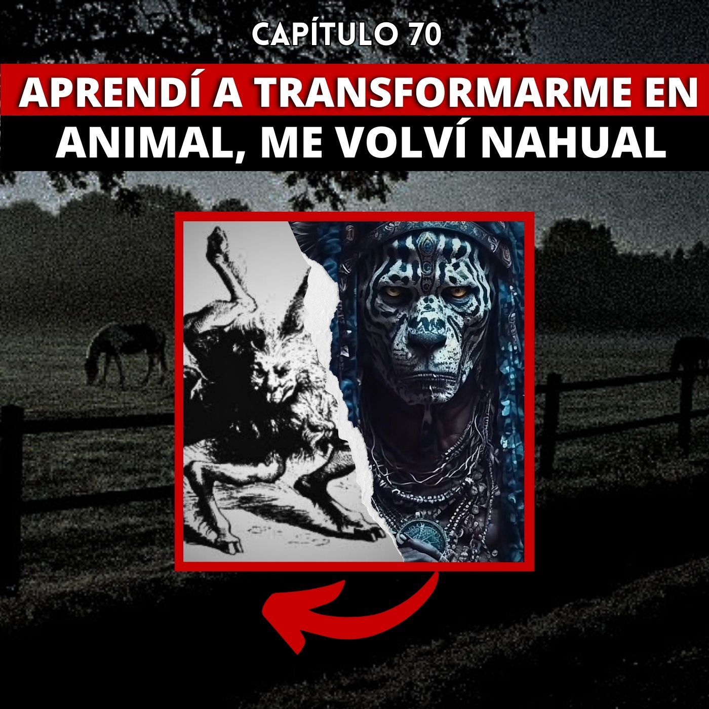 70 | aprendí a TRANSFORMARME en animal, me volví NAHUAL