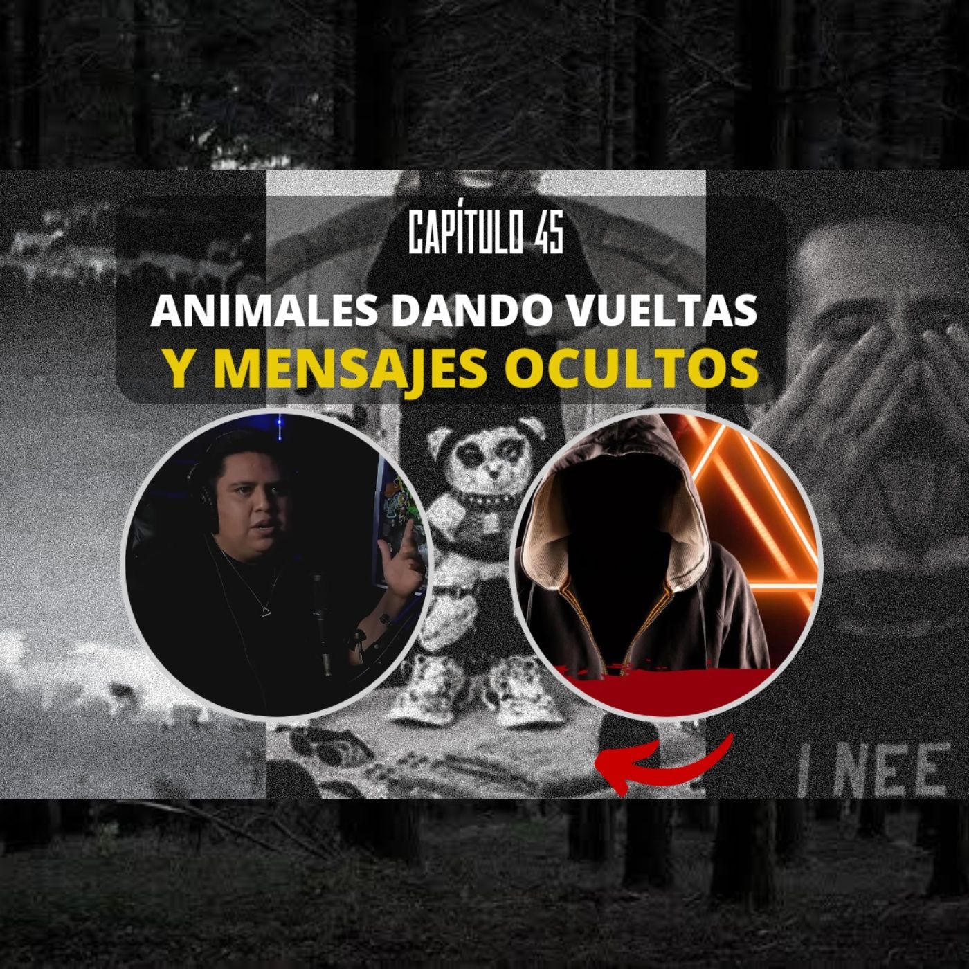 Capítulo 45  Animales dando vueltas y mensajes OCULTOS