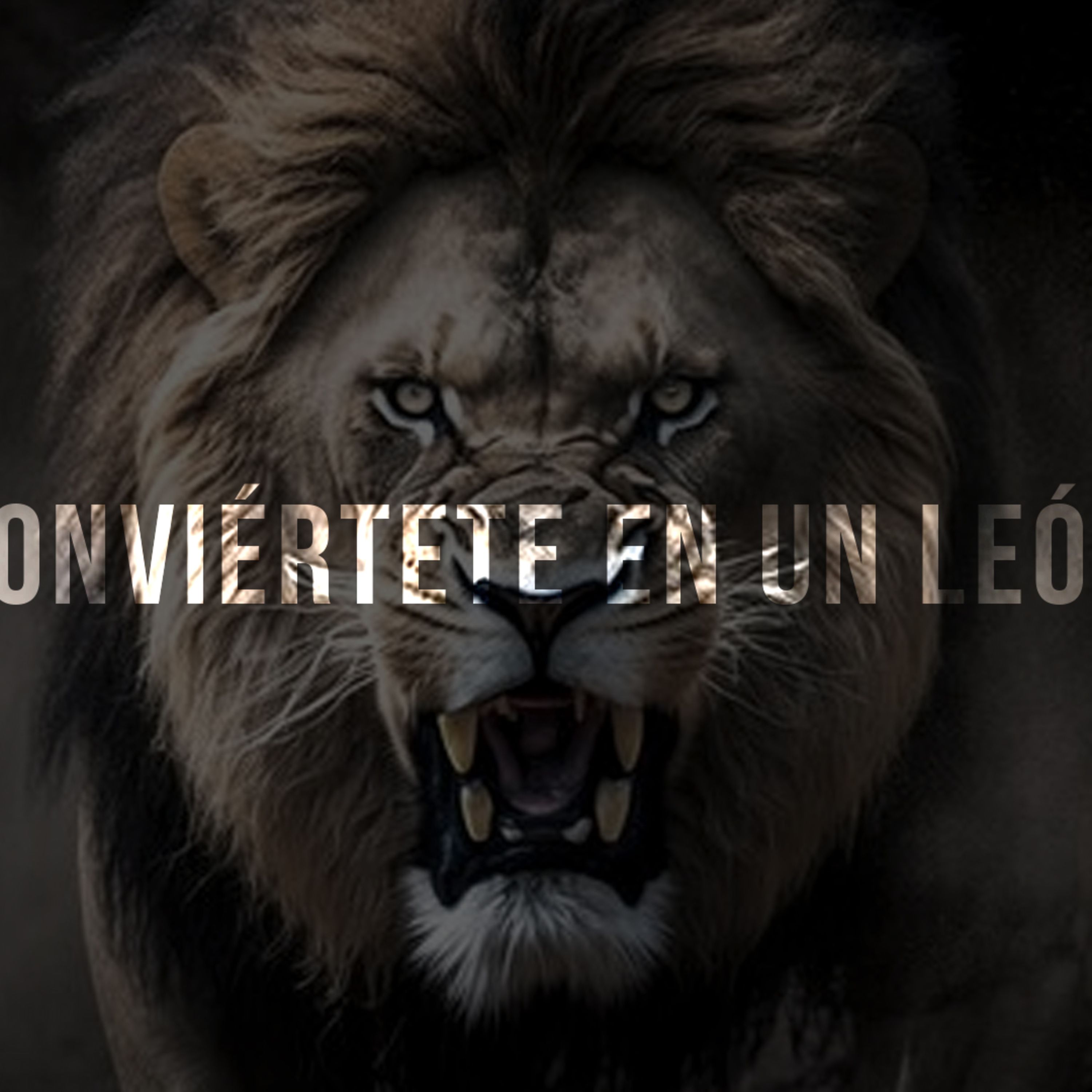 EL PROCESO TE FORMA.