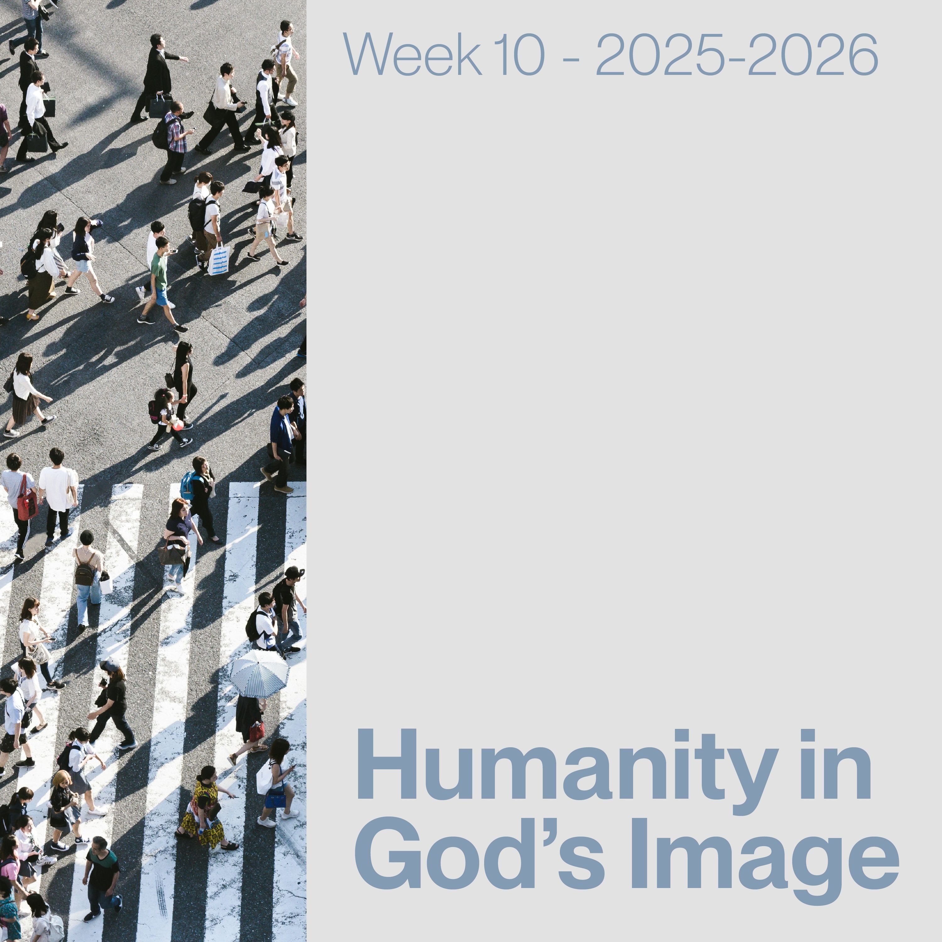 The Heights Institute