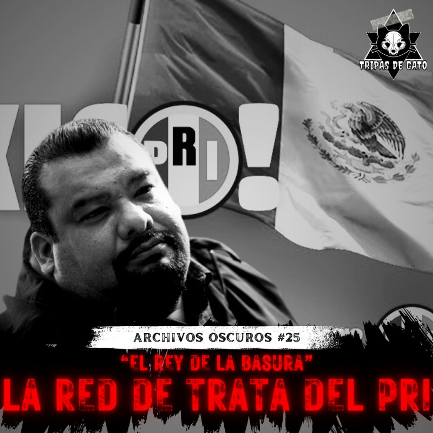 Portada de Tripas de Gato