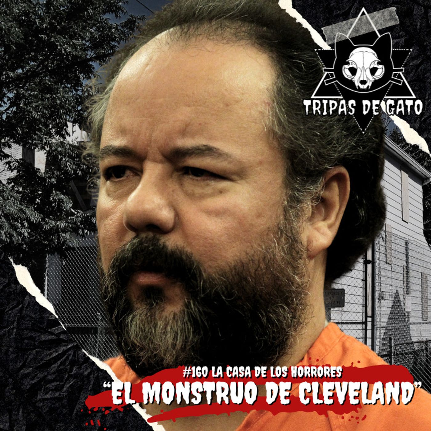 Portada de Tripas de Gato