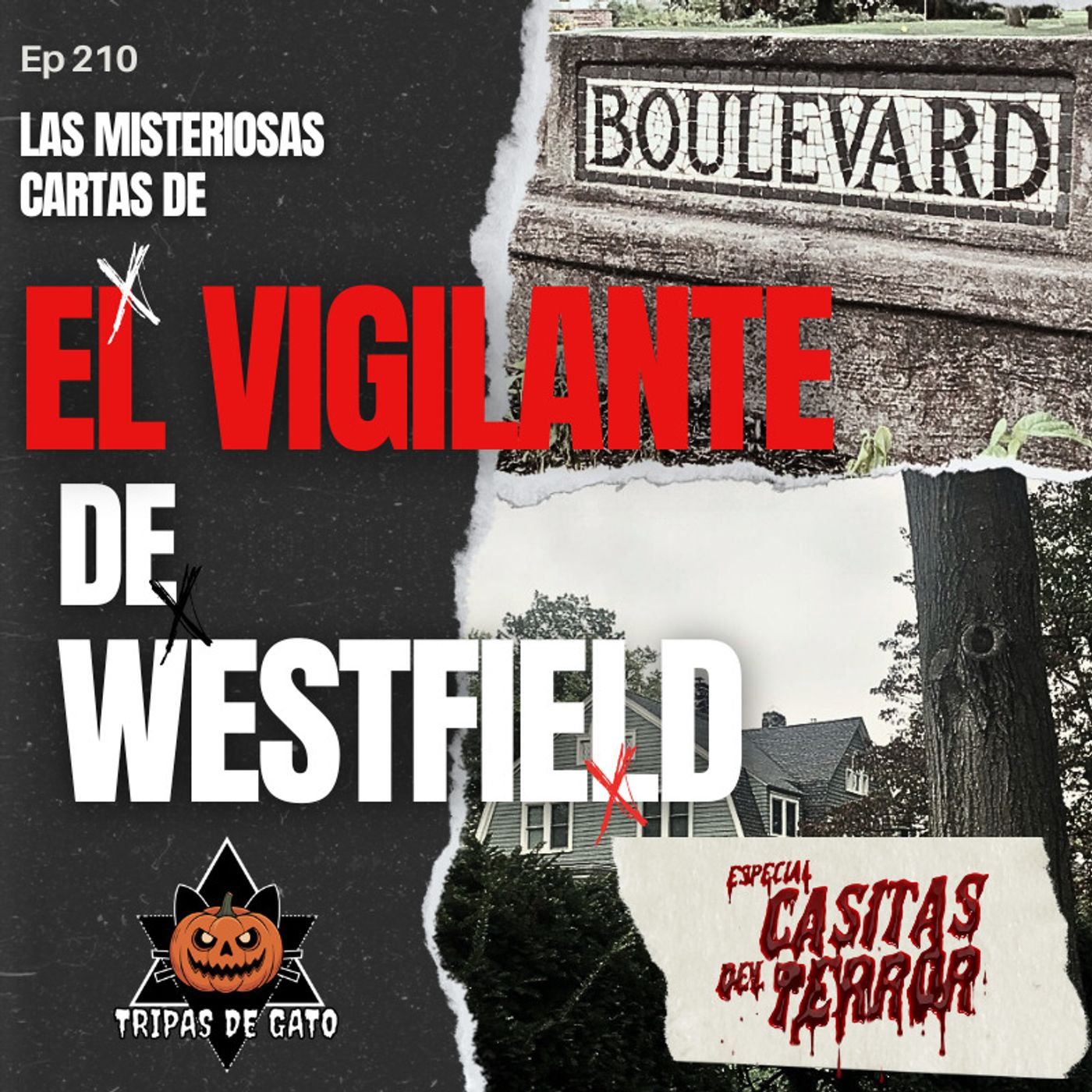Ep 210 "El Vigilante de Westfield | Las Misteriosas Cartas"