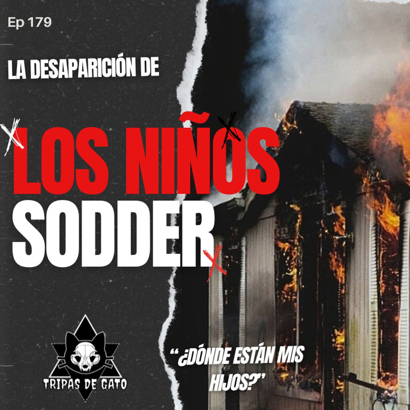 Portada de Tripas de Gato