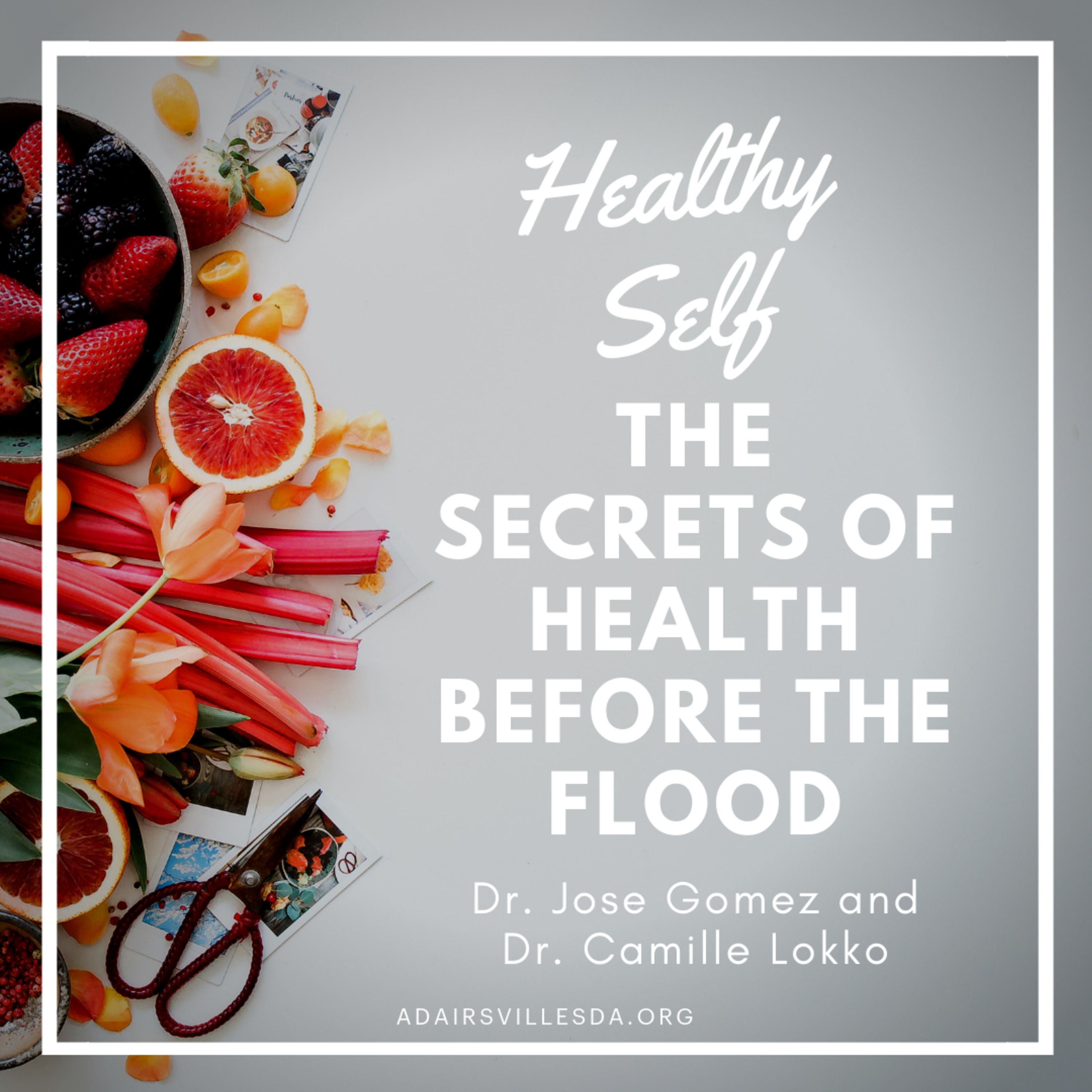 Healthy Self - The Secrets of Health Before the Flood  // Dr. Jose Gomez and Dr. Camille Lokko episode artwork