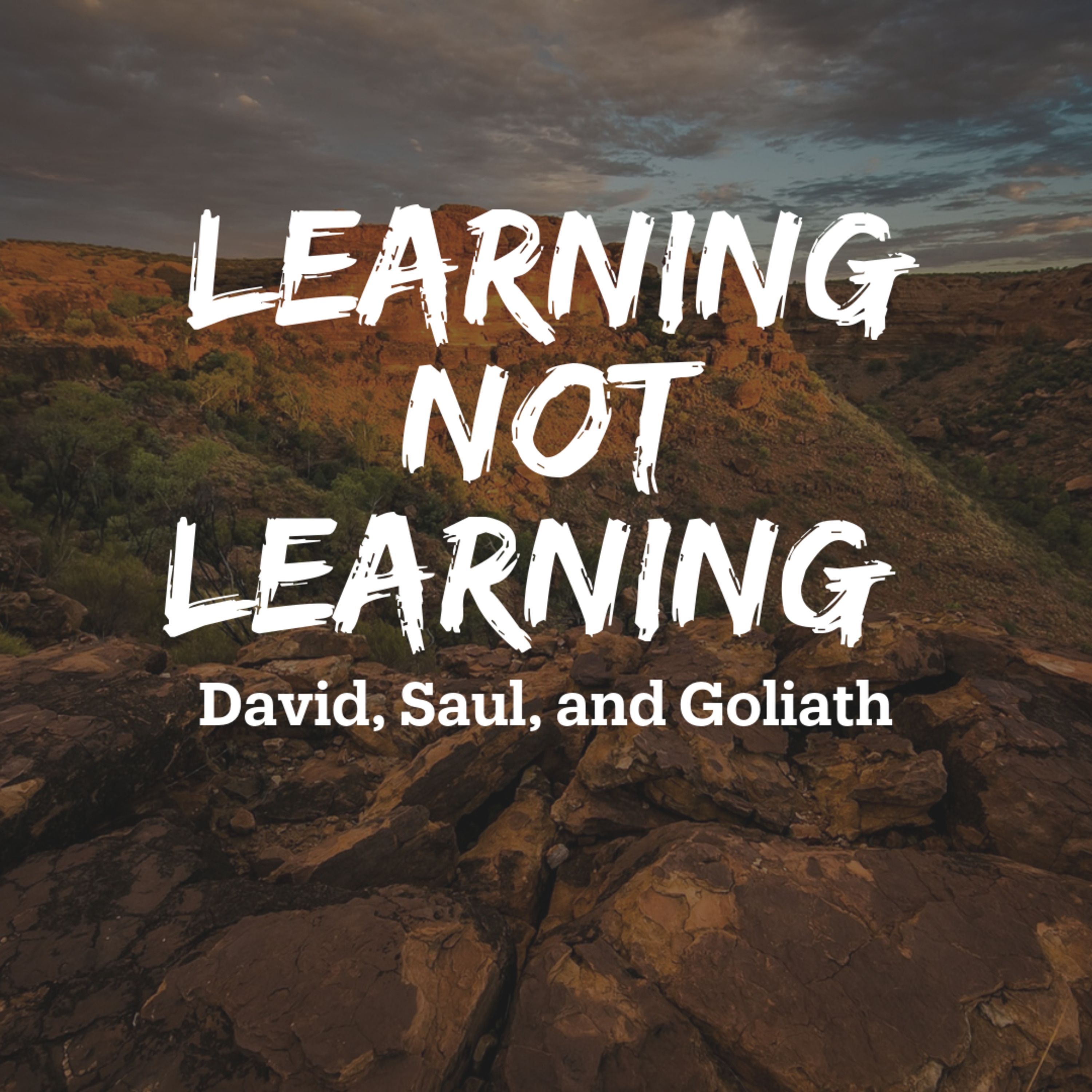 Learning Not Learning episode artwork