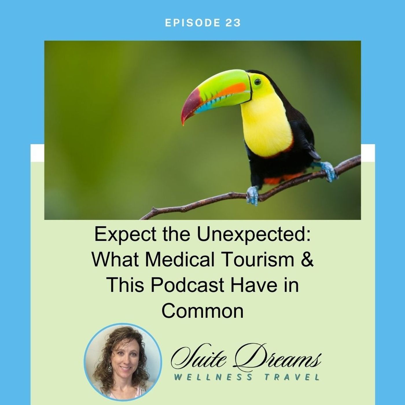 Suite Dreams Wellness Travel
