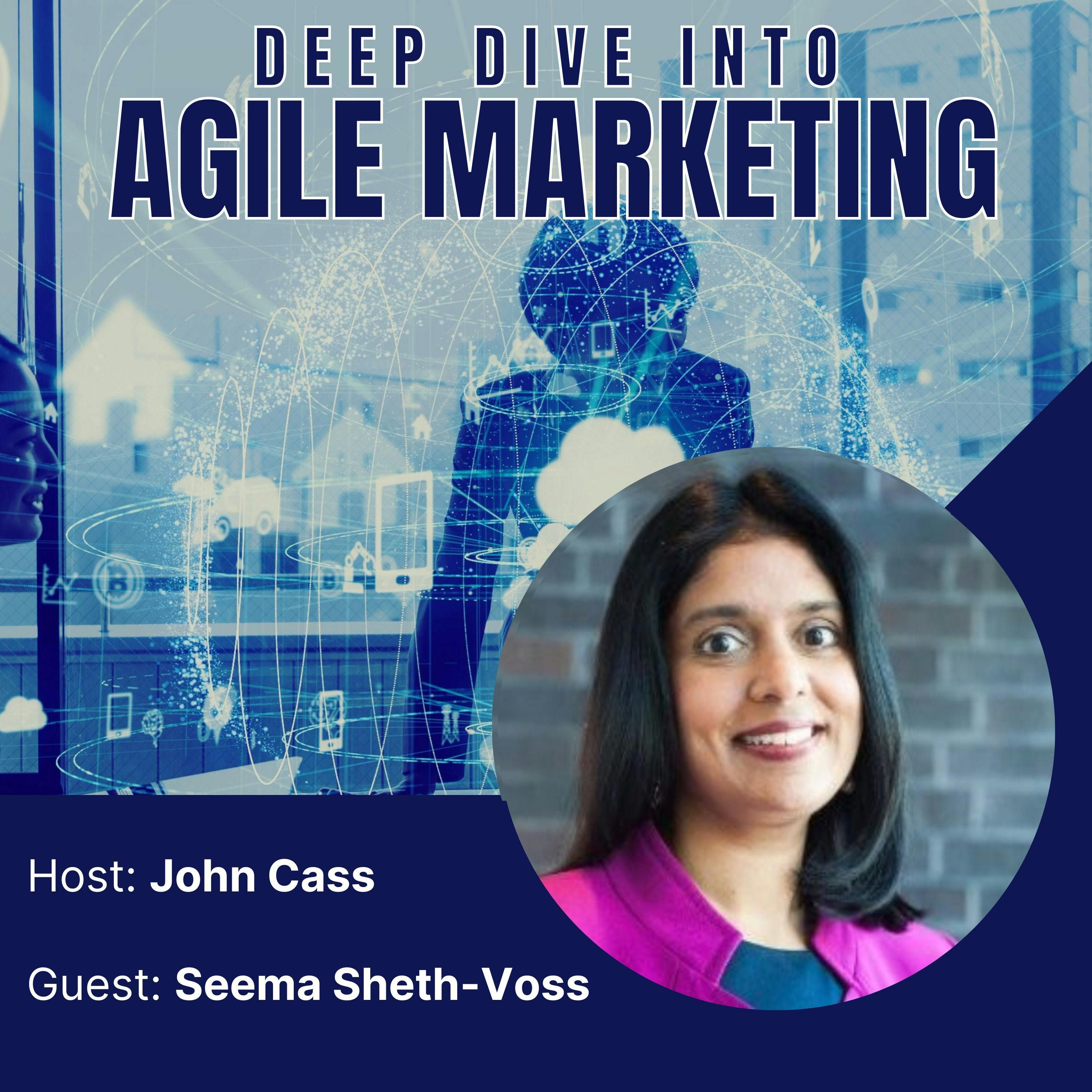 An Interview with Seema Sheth-Voss – Episode Four