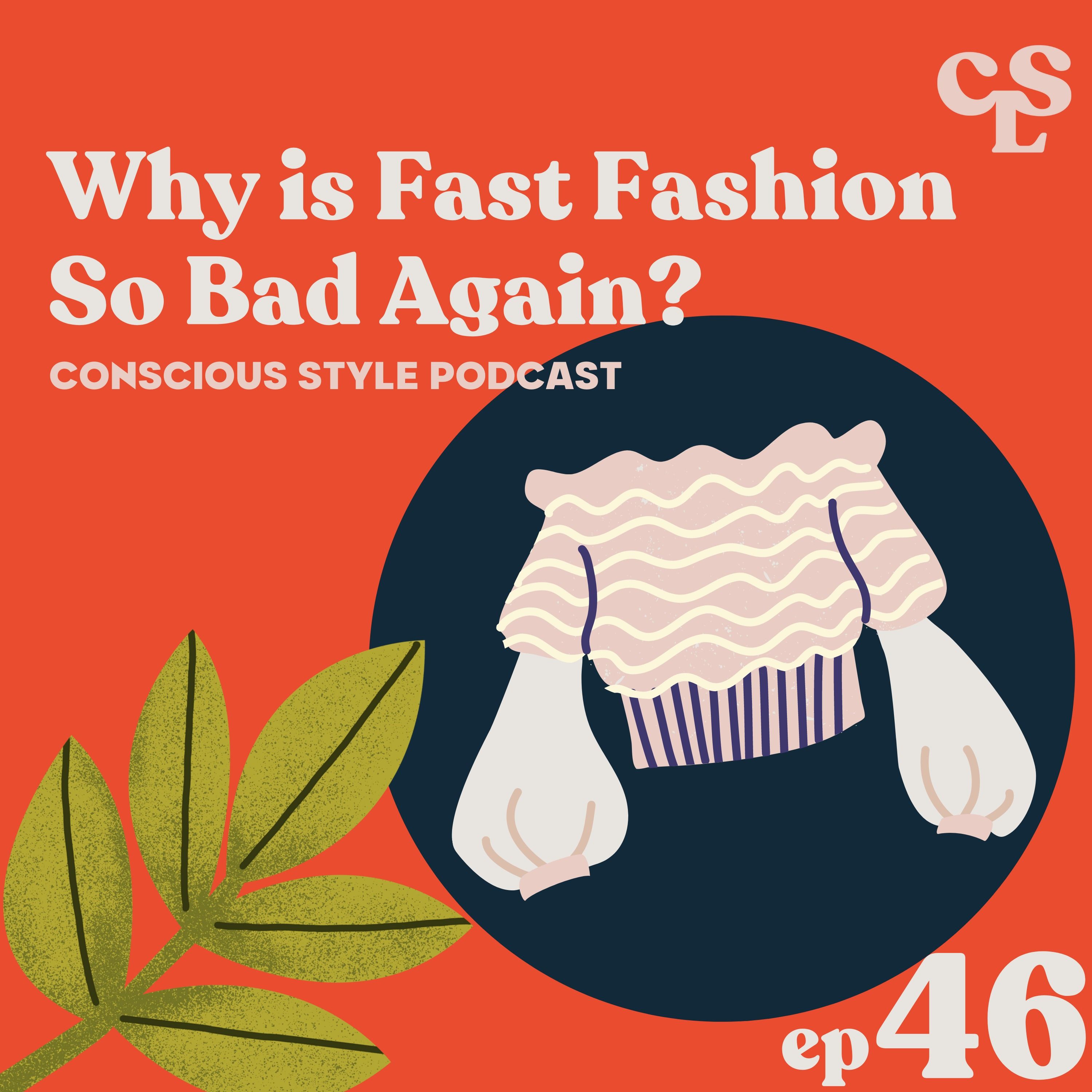 46) Why is Fast Fashion So Bad Again? The Real Costs of Cheap Clothes