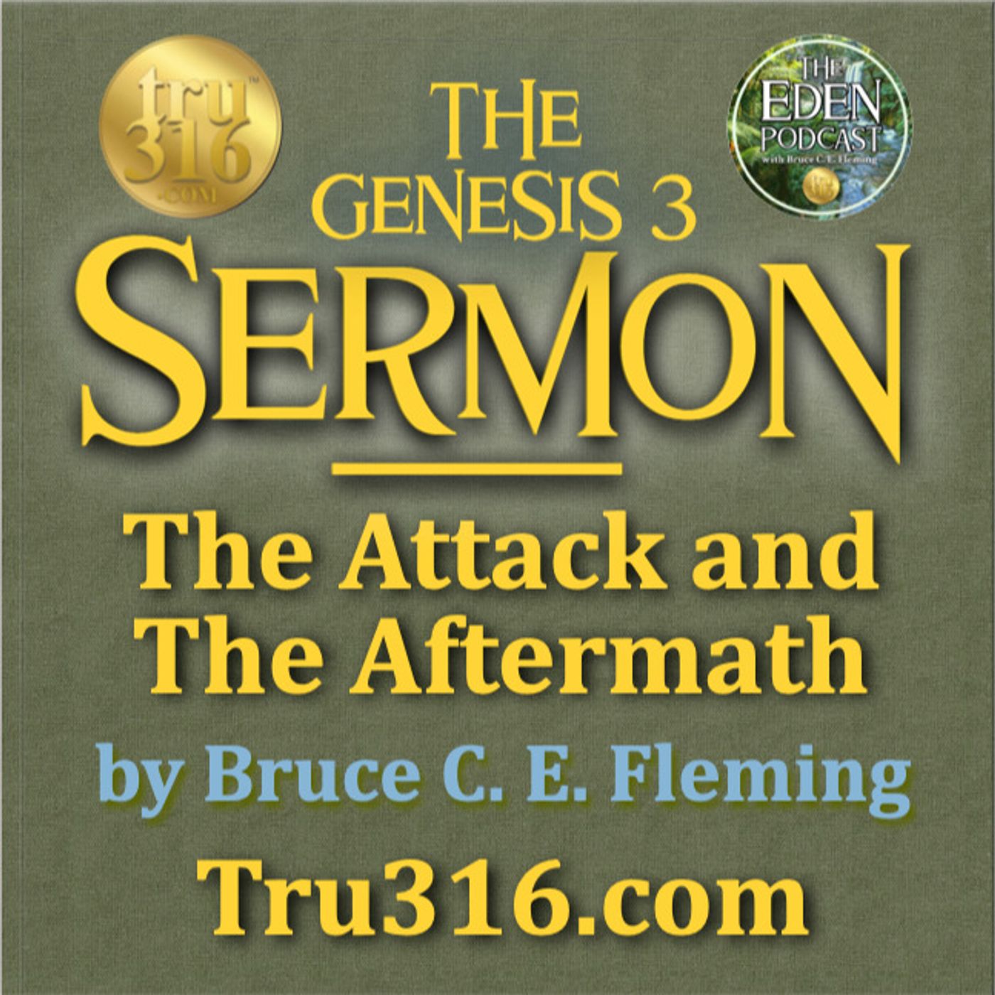 EARLY RELEASE! The Genesis 3 Sermon - The Attack and the Aftermath in Eden!