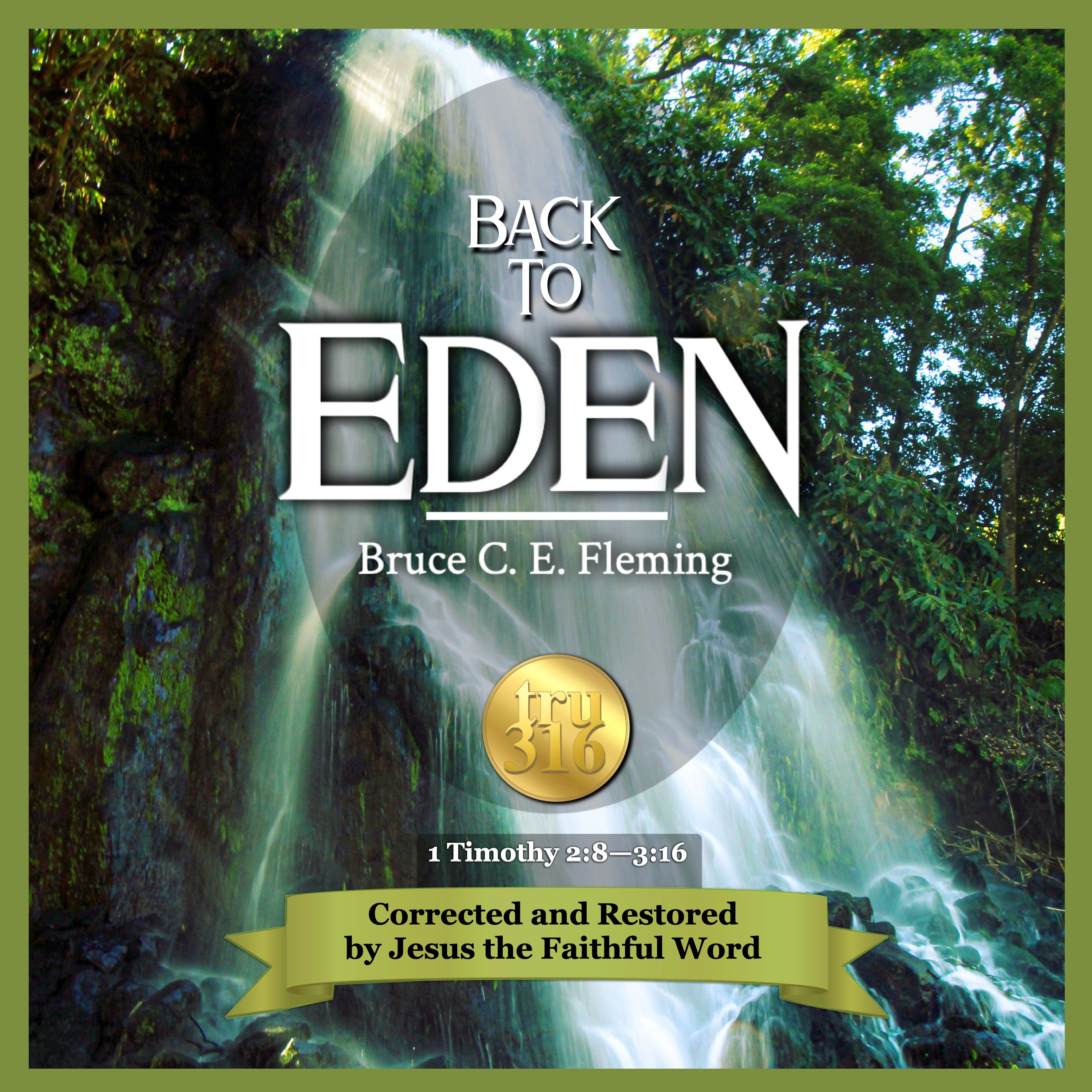 1 Timothy is FOR women in ministry! Book 3 in The Eden Book Series.