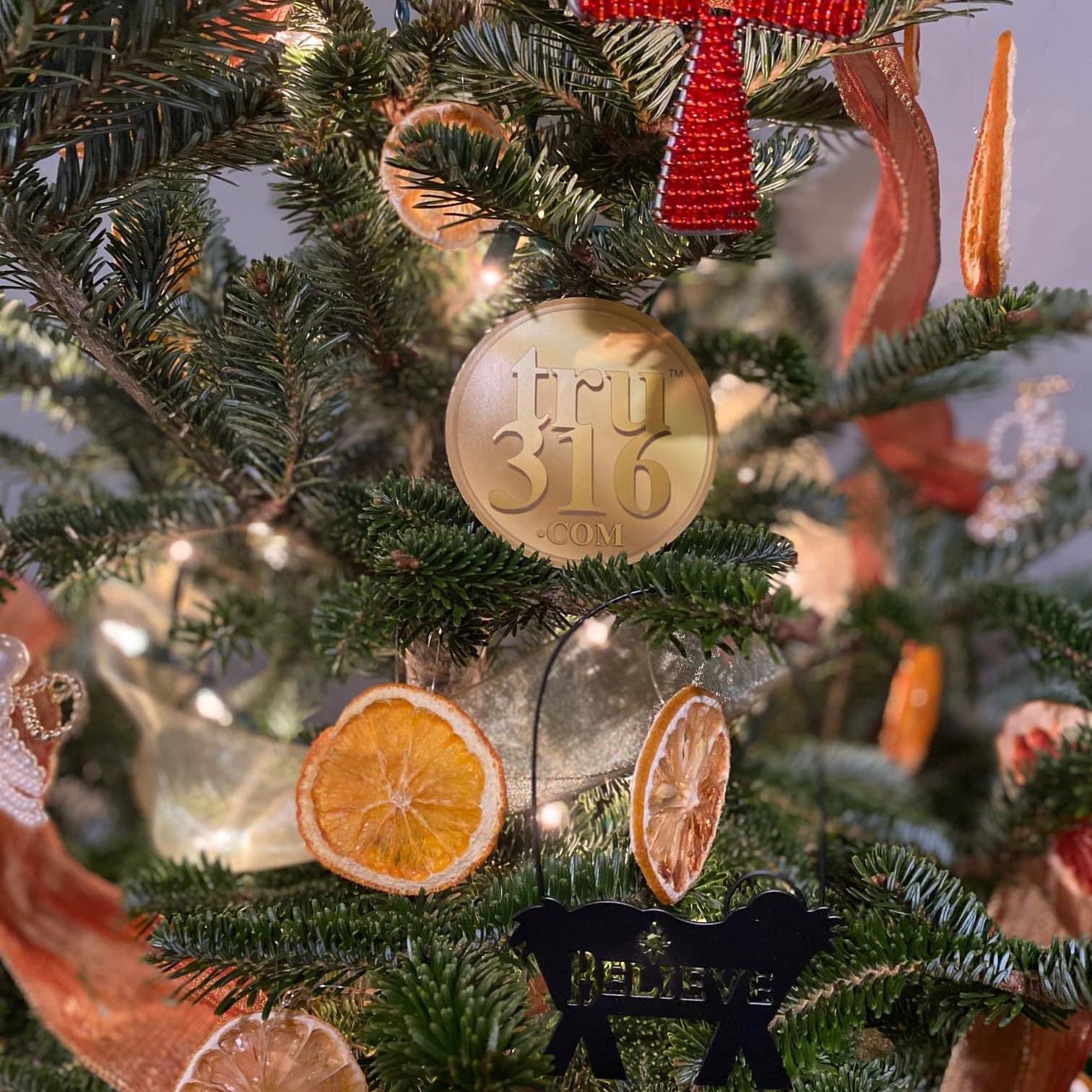 Jingle Bells in Eden?? Discover Genesis 3:15 and 16!!