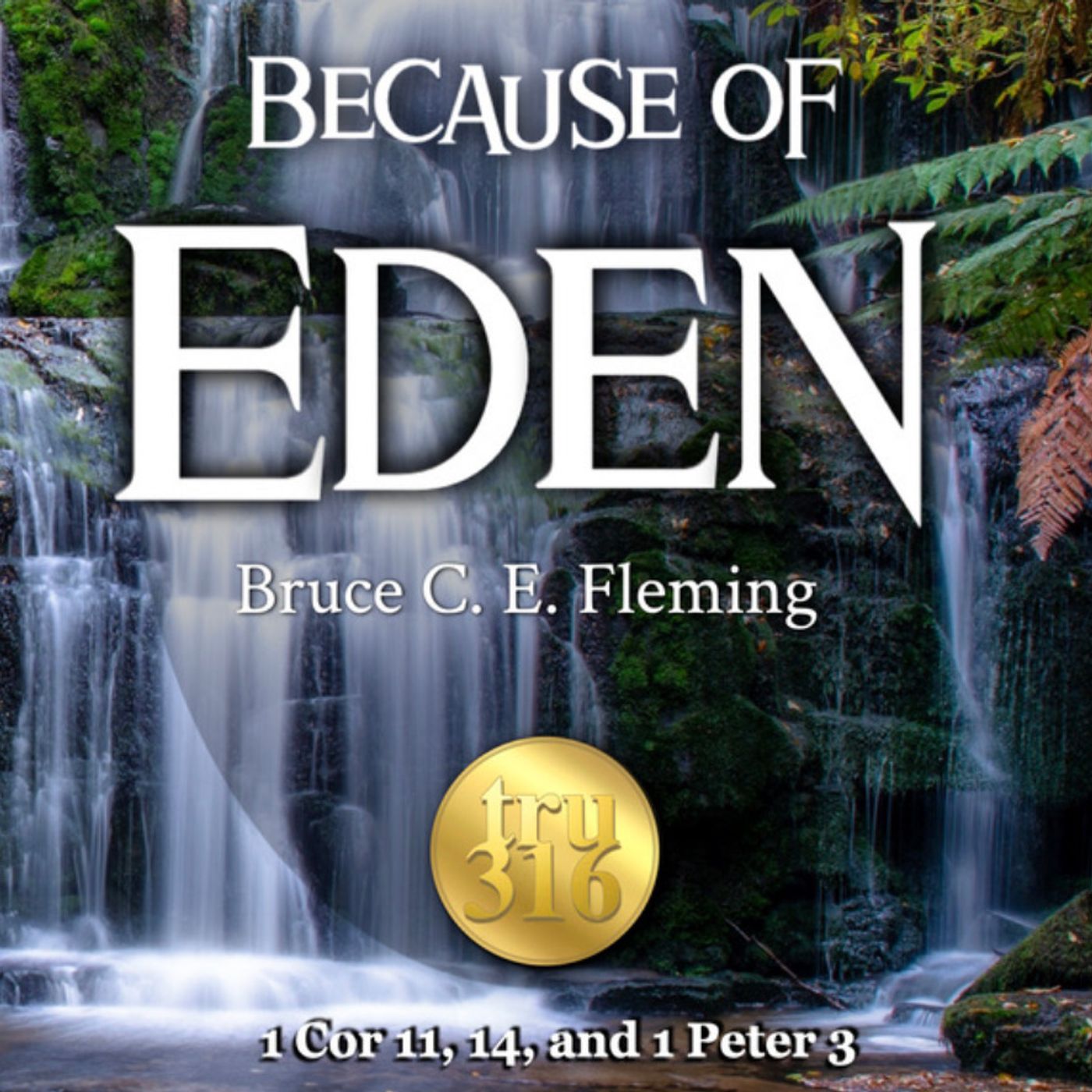 1 Cor 11:10-16 Women are free indeed!