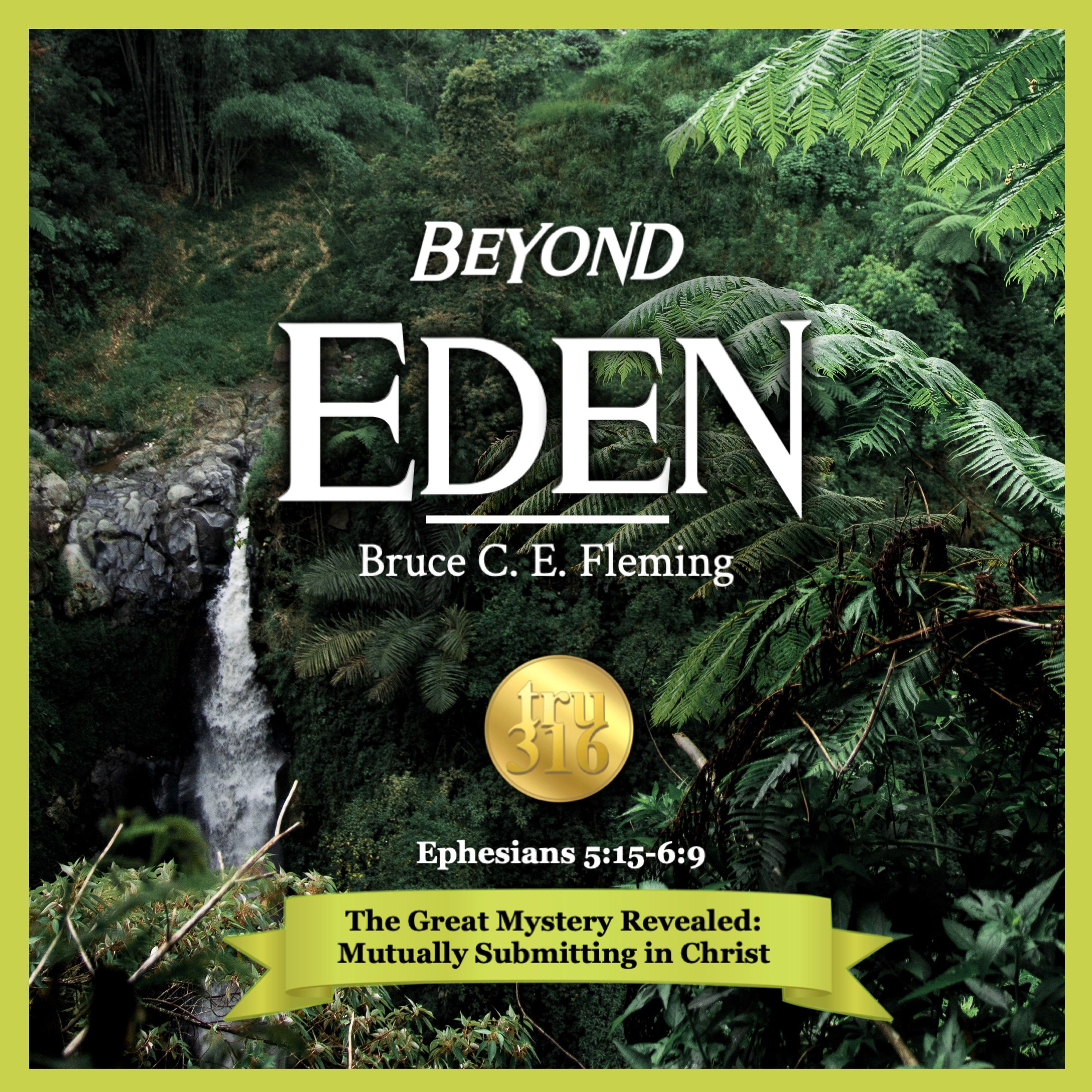 Ephesians 5 is NOT about wifely submission, from Book 2 in The Eden Book Series!