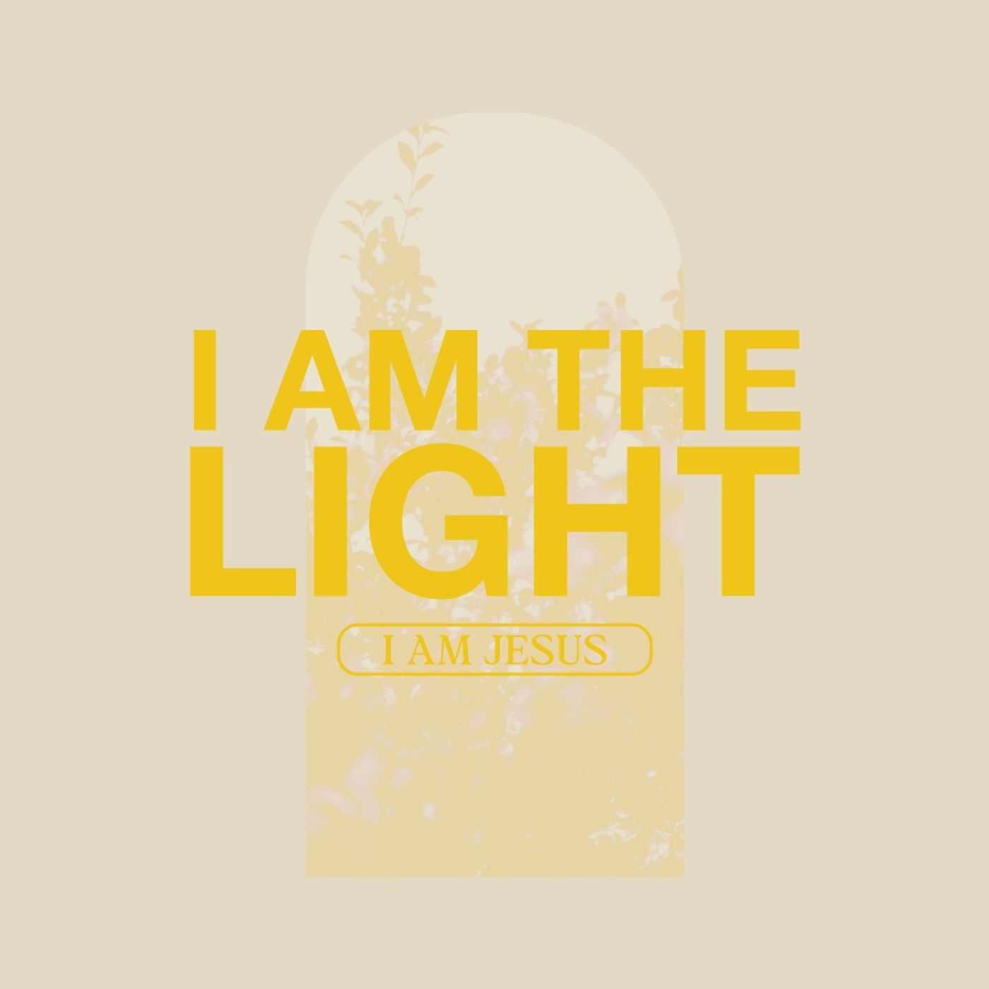 I AM JESUS | I AM THE LIGHT