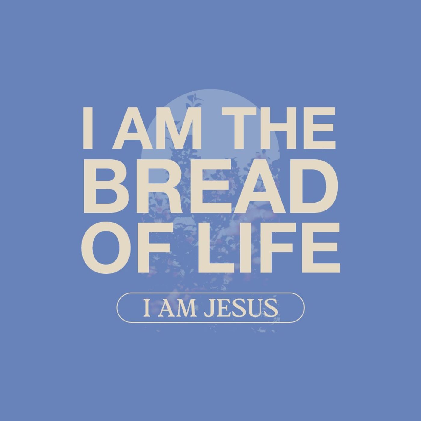 I AM JESUS | I AM THE BREAD OF LIFE
