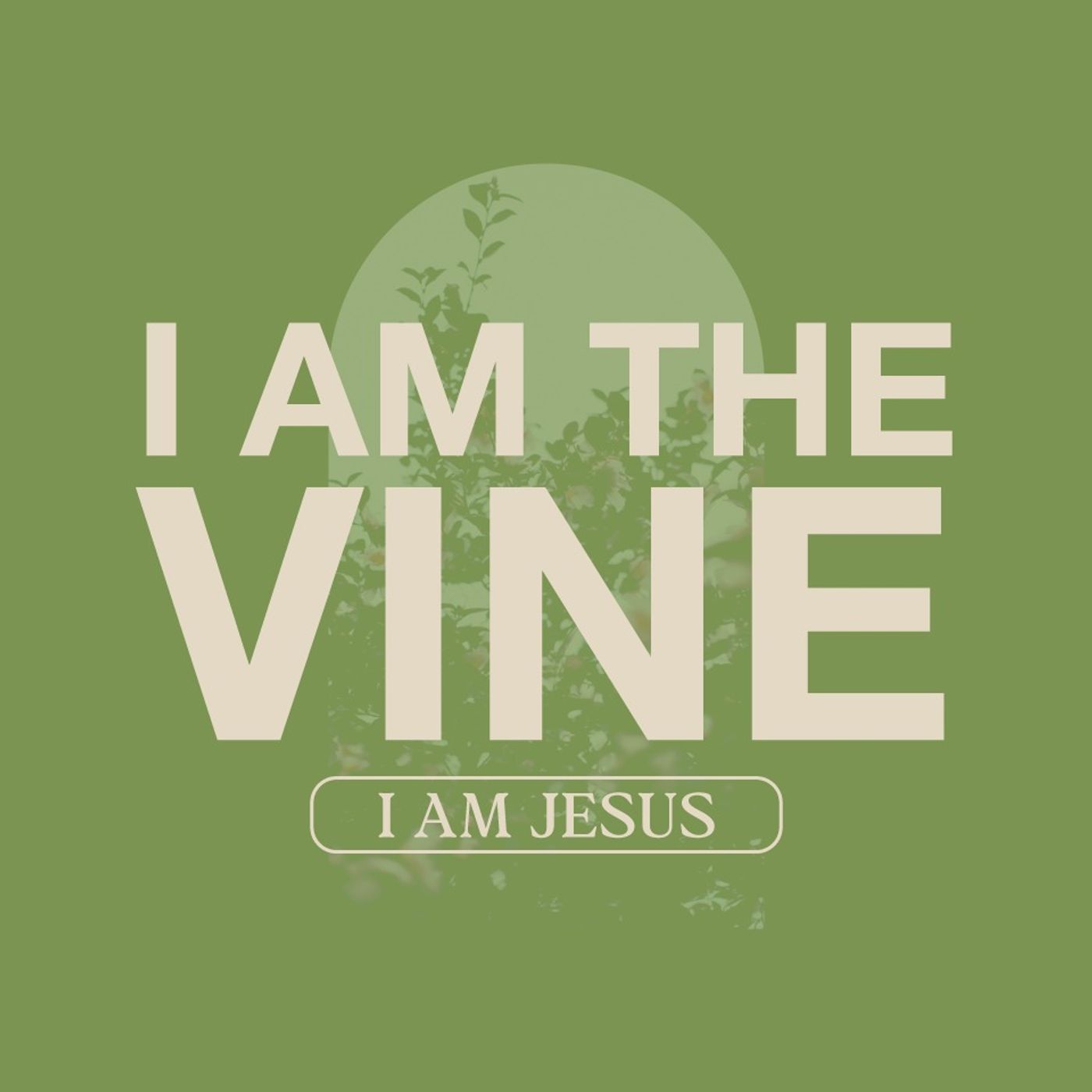 I AM JESUS | I AM THE VINE