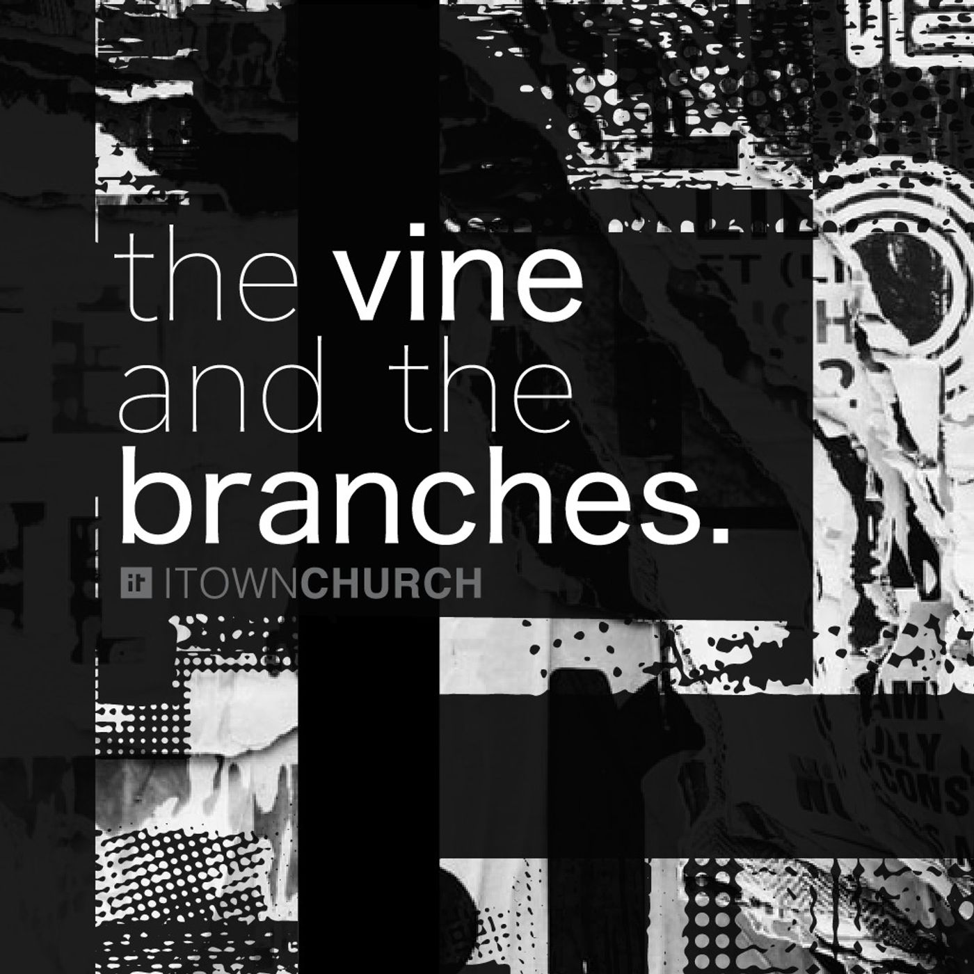 The Vine and the Branches