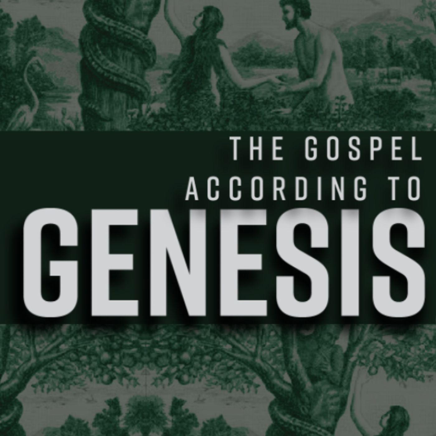 THE GOSPEL ACCORDING TO GENESIS: The Lord Came To The City | Randy Lovelace | November 19, 2023 episode artwork