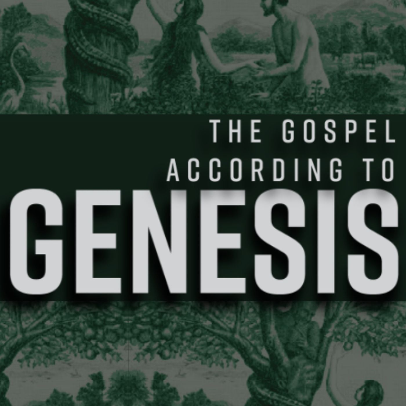 THE GOSPEL ACCORDING TO GENESIS: Covenant of Life | Randy Lovelace | November 12, 2023 episode artwork