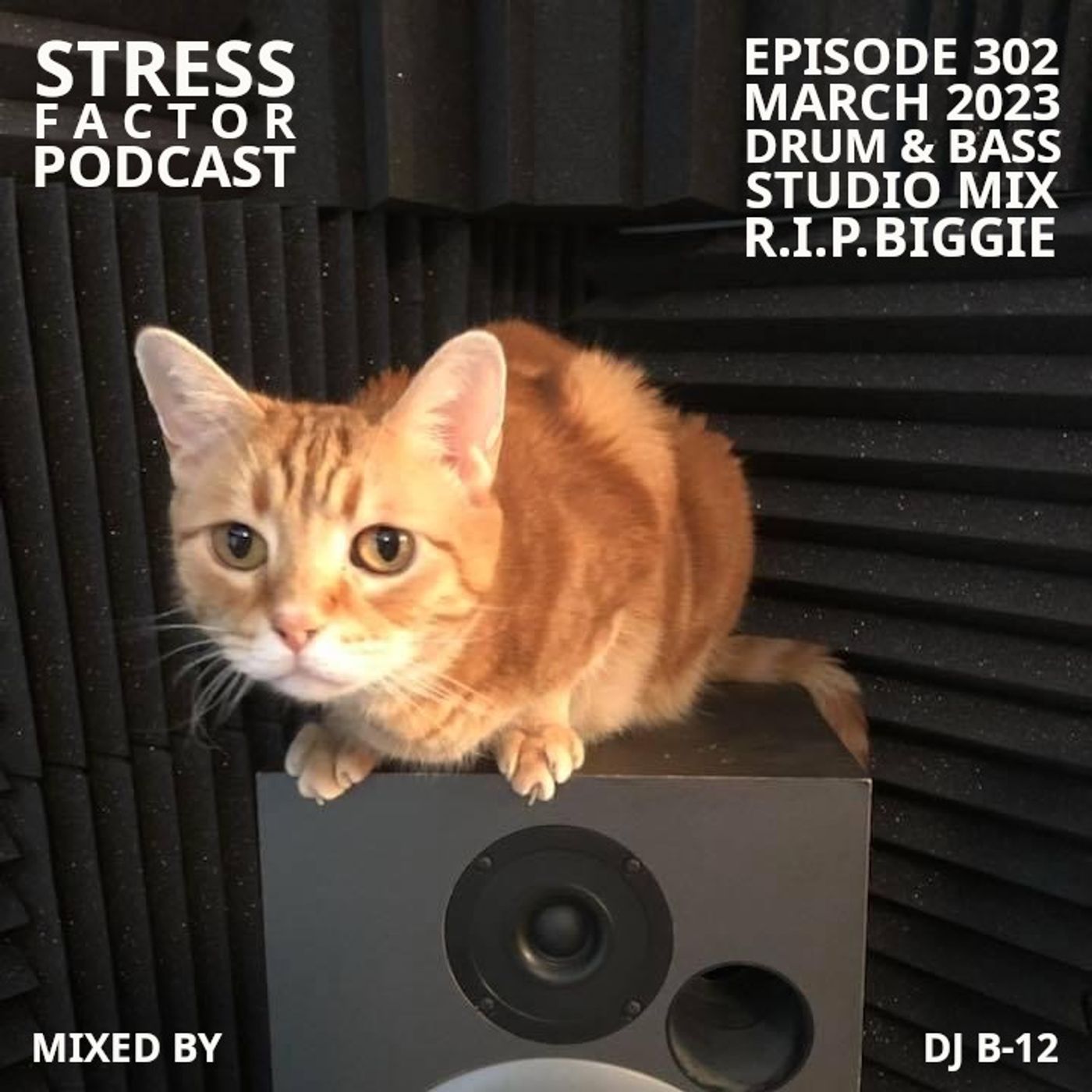 Stress Factor Drum & Bass Podcast