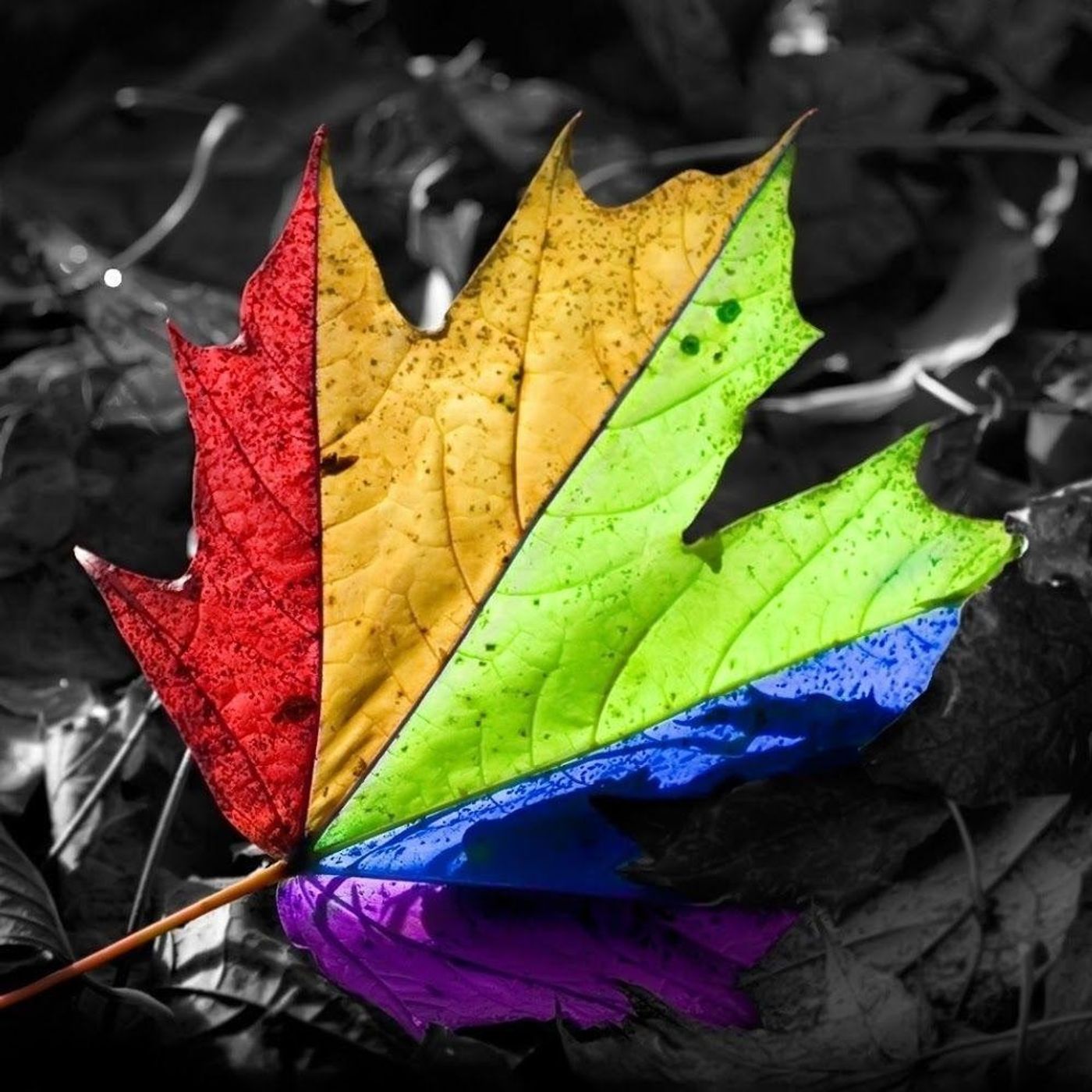 Stress Factor Drum & Bass Podcast