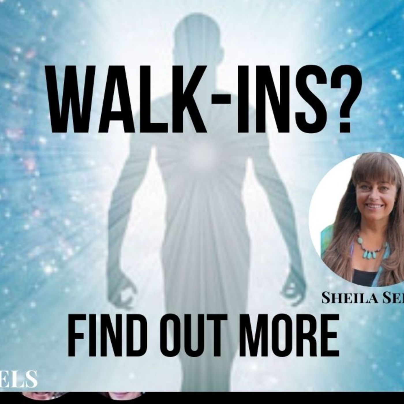 Walk - Ins, Hybrids, Indigos and More! Who Am I?