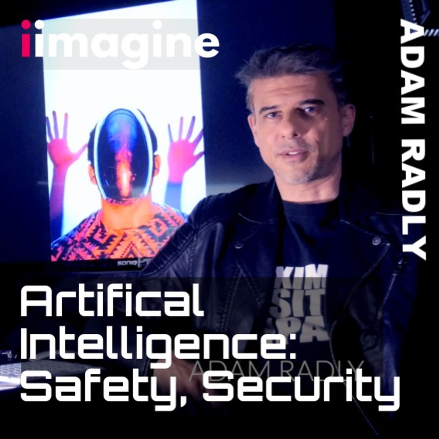 Artificial Intelligence - What Can Go Wrong? Examples. Stats. Business Ideas. episode artwork