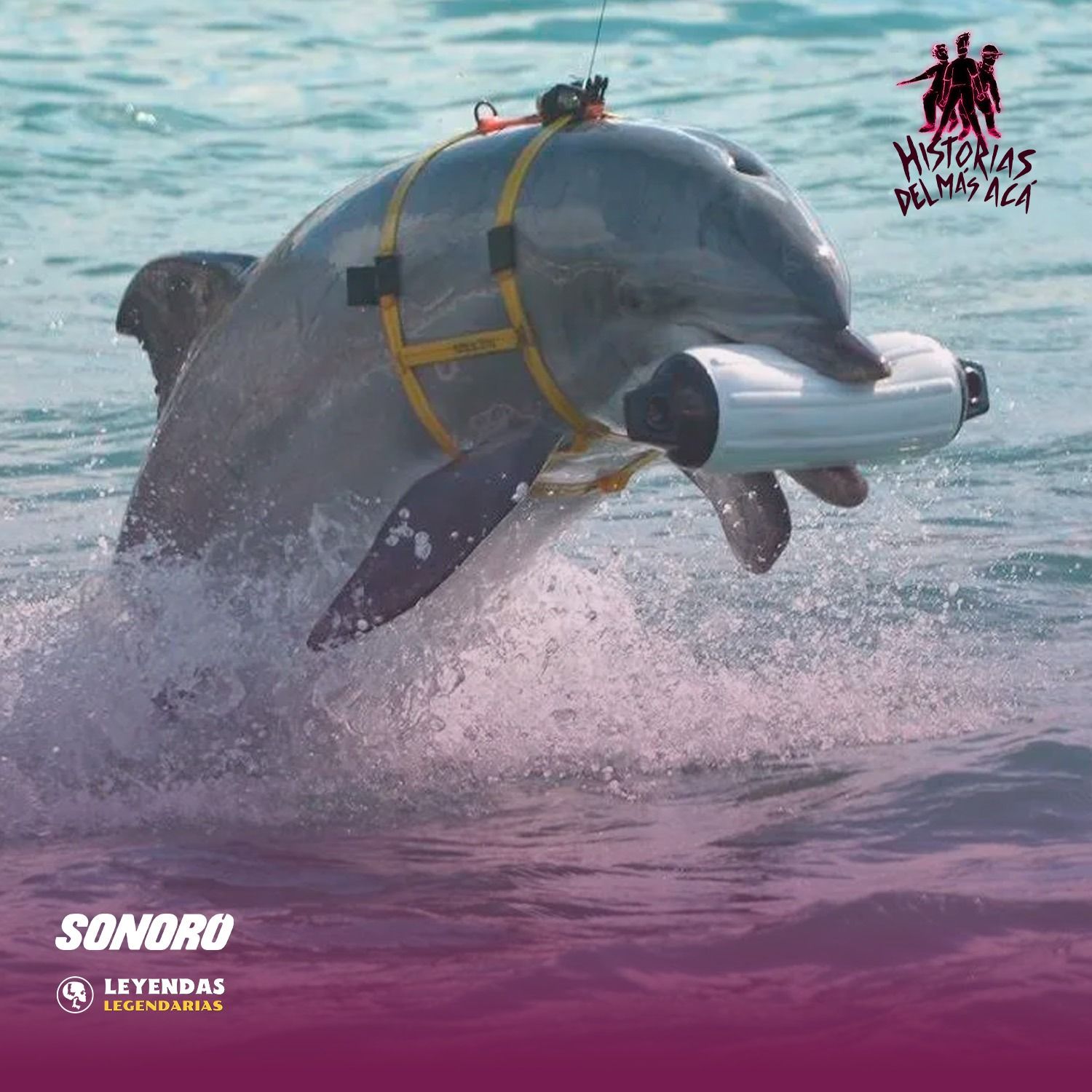 Delfines Kamikaze - Historias del Más Acá 272