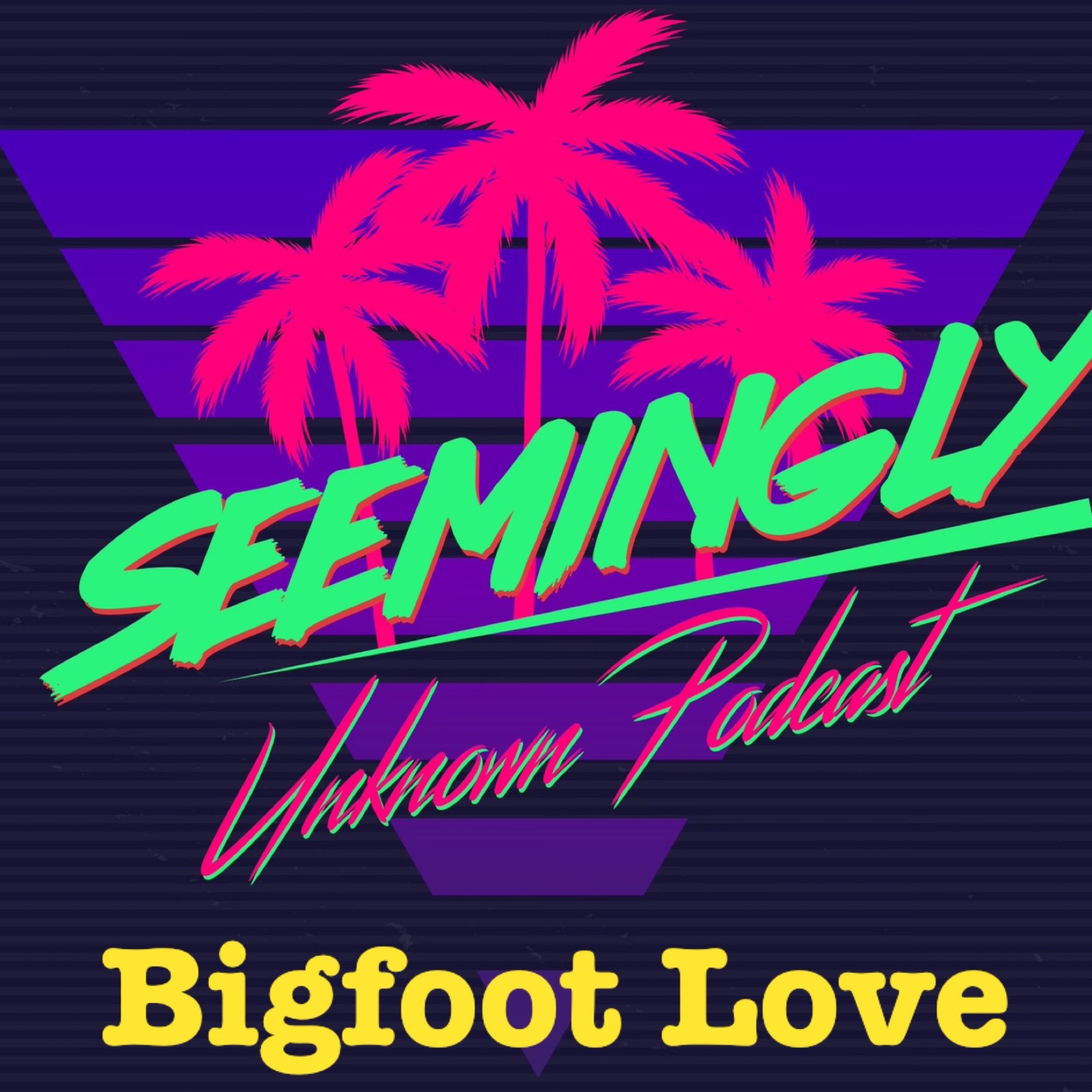 Seemingly Unknown Podcast