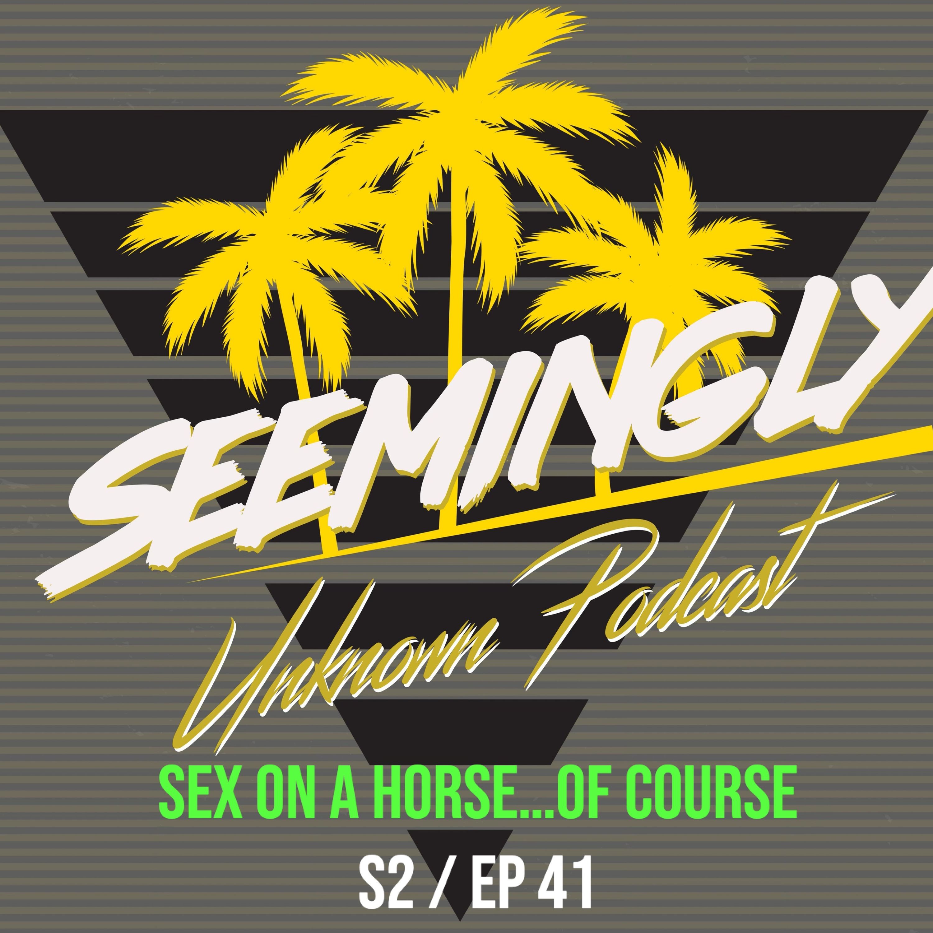 Seemingly Unknown Podcast