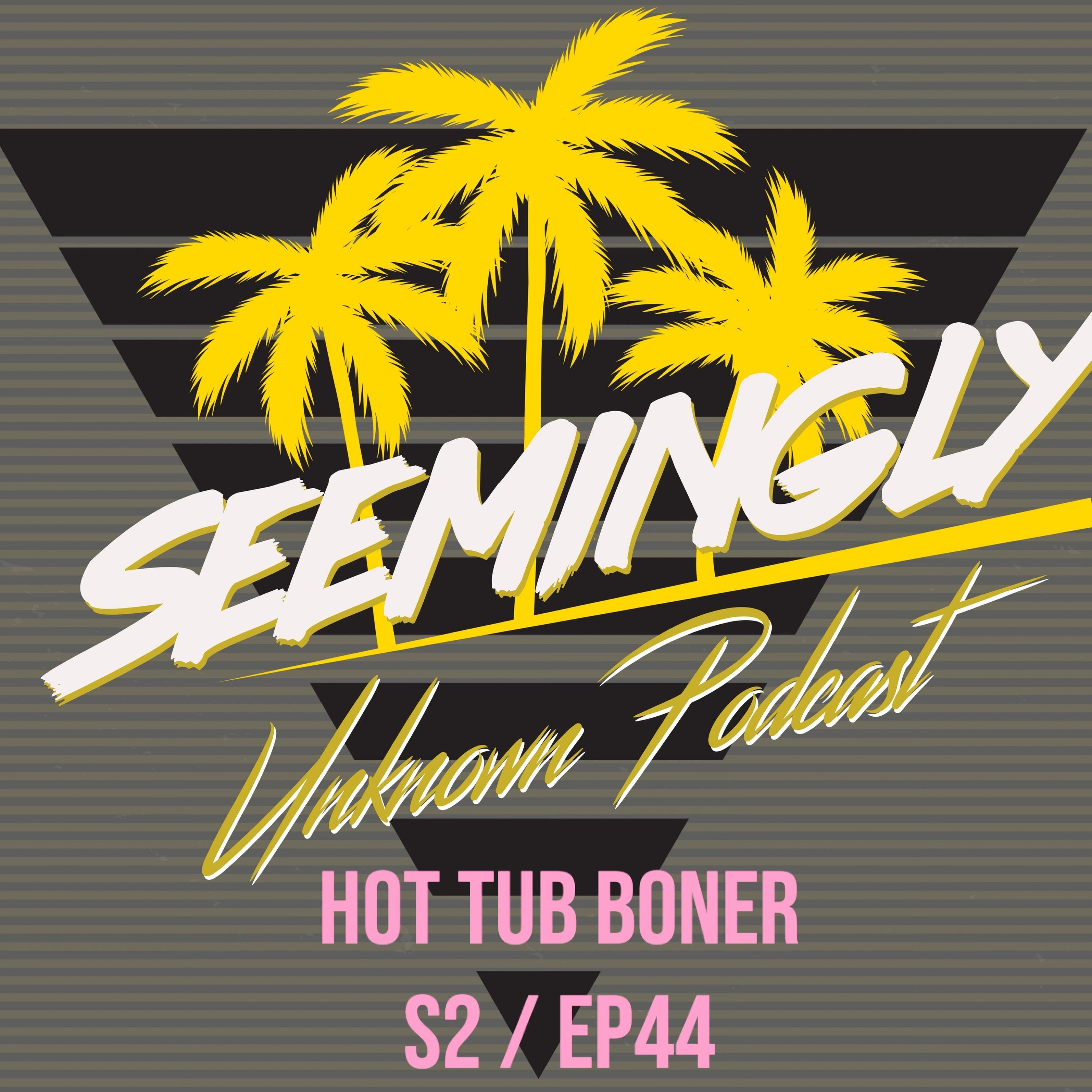 Seemingly Unknown Podcast