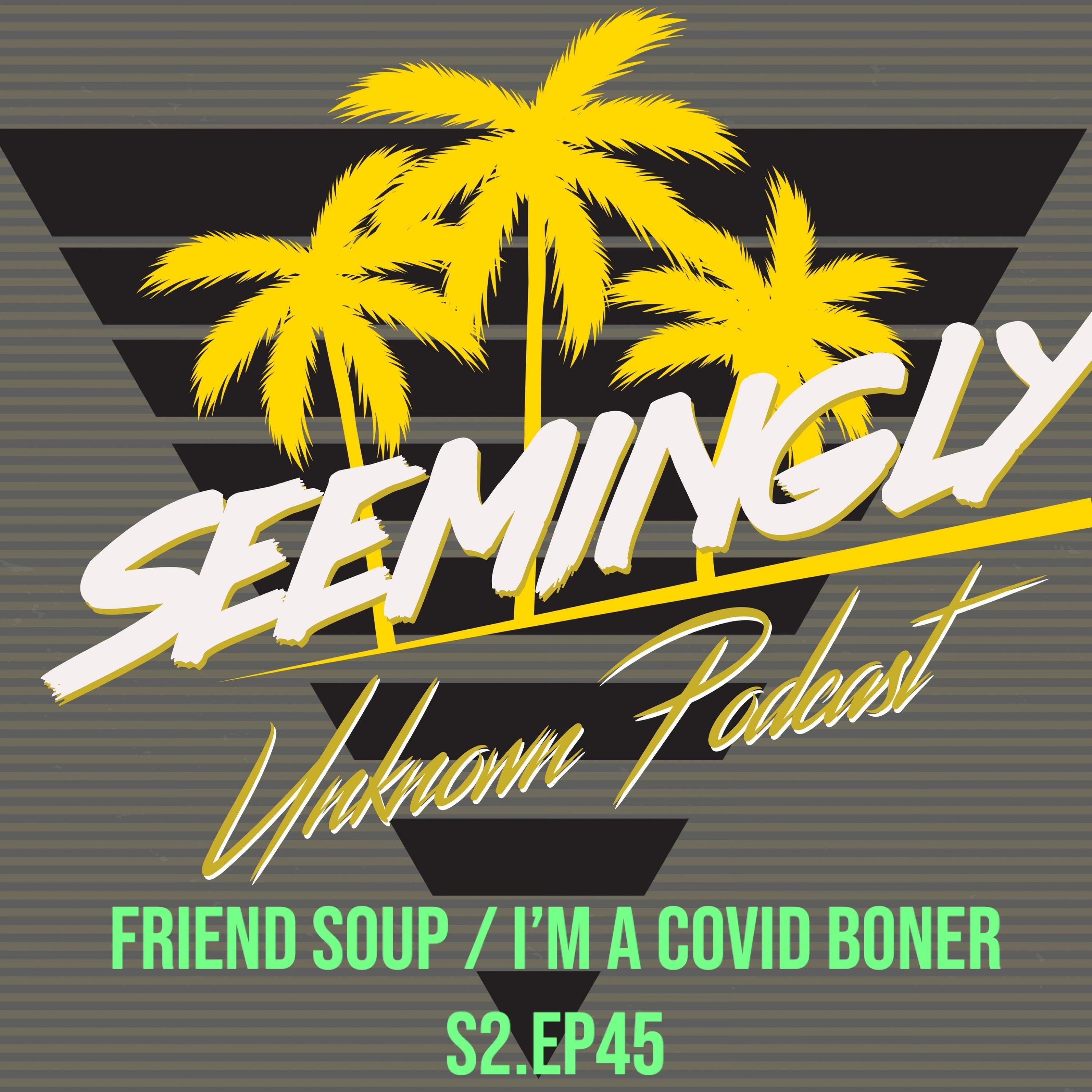 Seemingly Unknown Podcast
