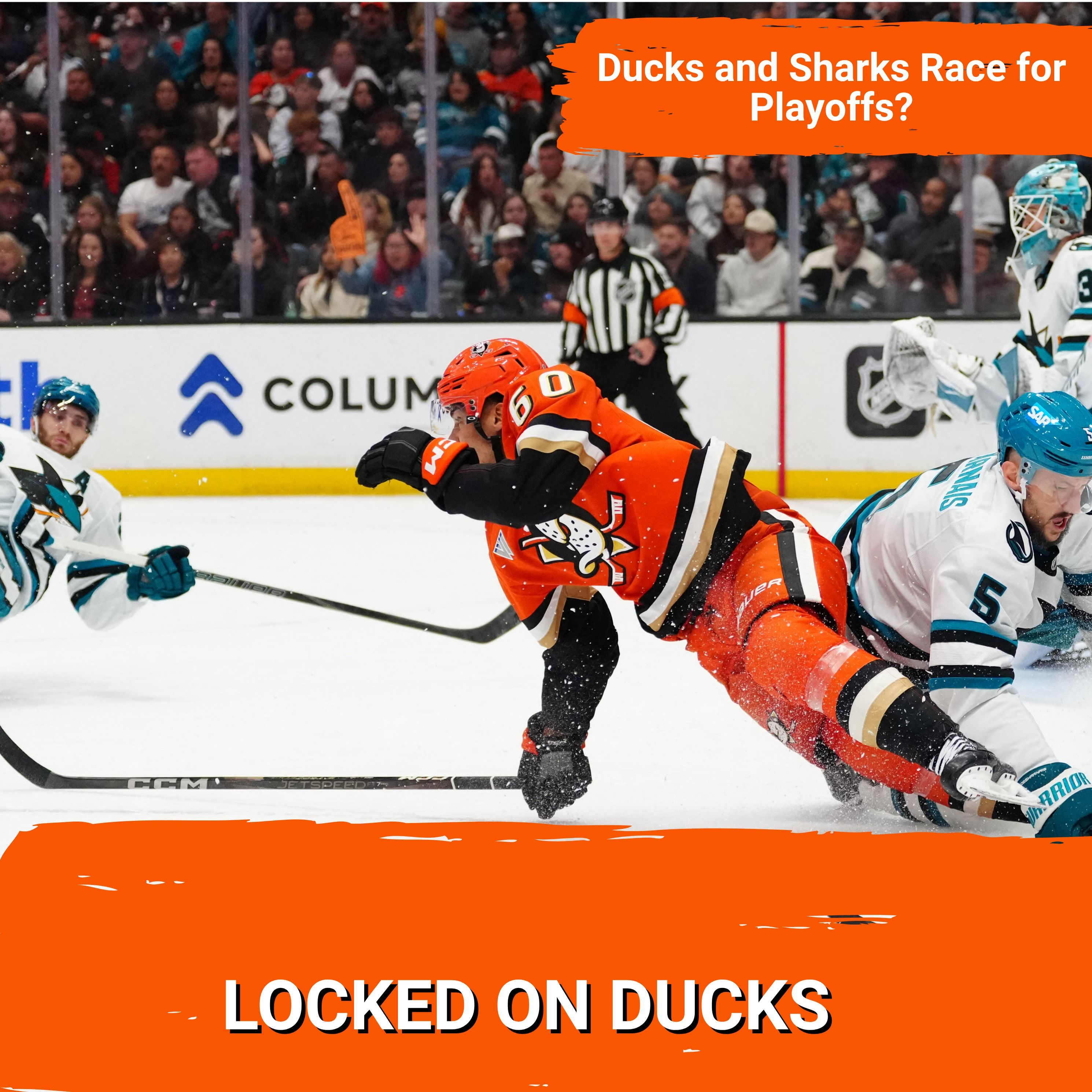 Locked on Ducks/Sharks Crossover Episode episode artwork