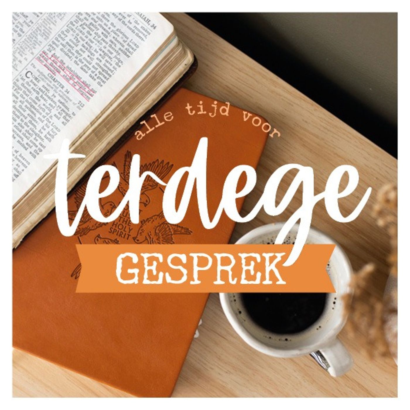 Terdege Het Gesprek podcast artwork
