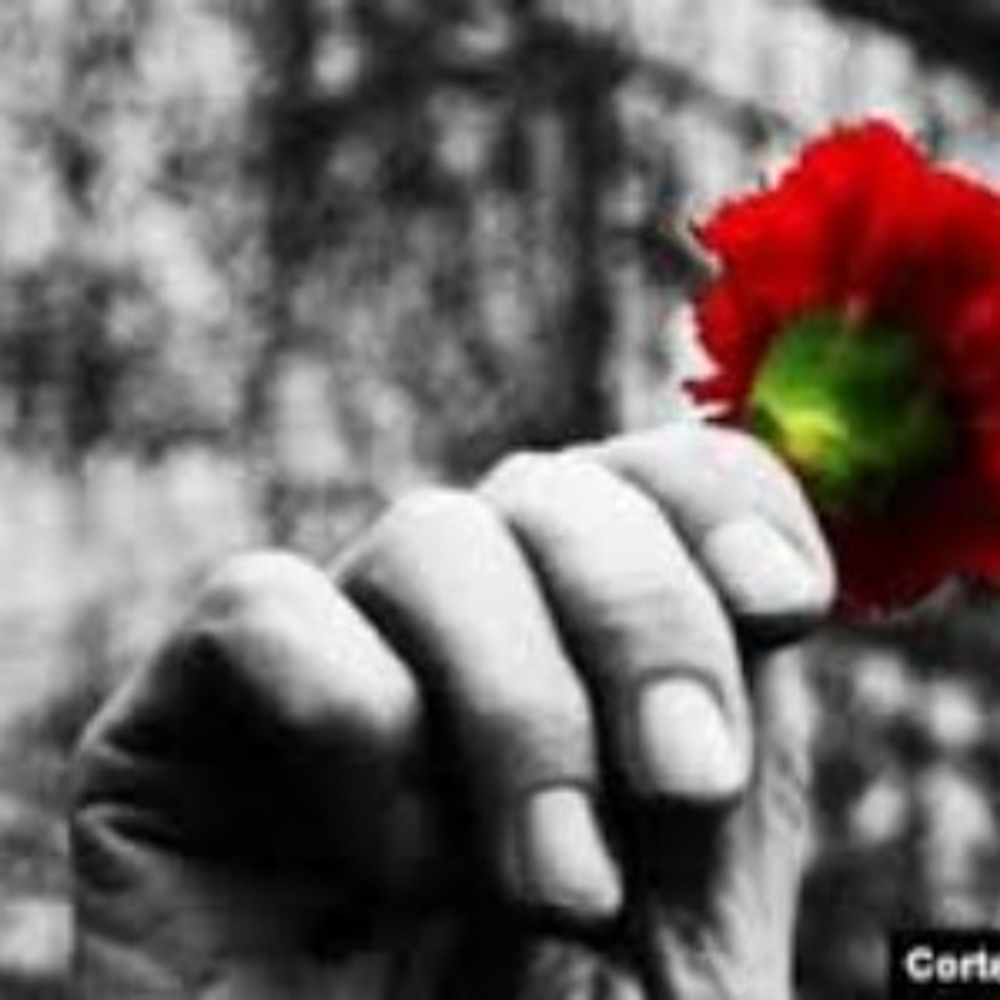 Sons da Lusofonia- Lusophone protest song (Carnation Revolution)