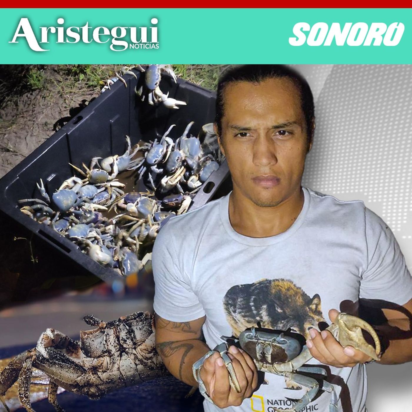 Construcción y desarrollo inmobiliario amenazan al cangrejo azul en Veracruz: Earth Mission