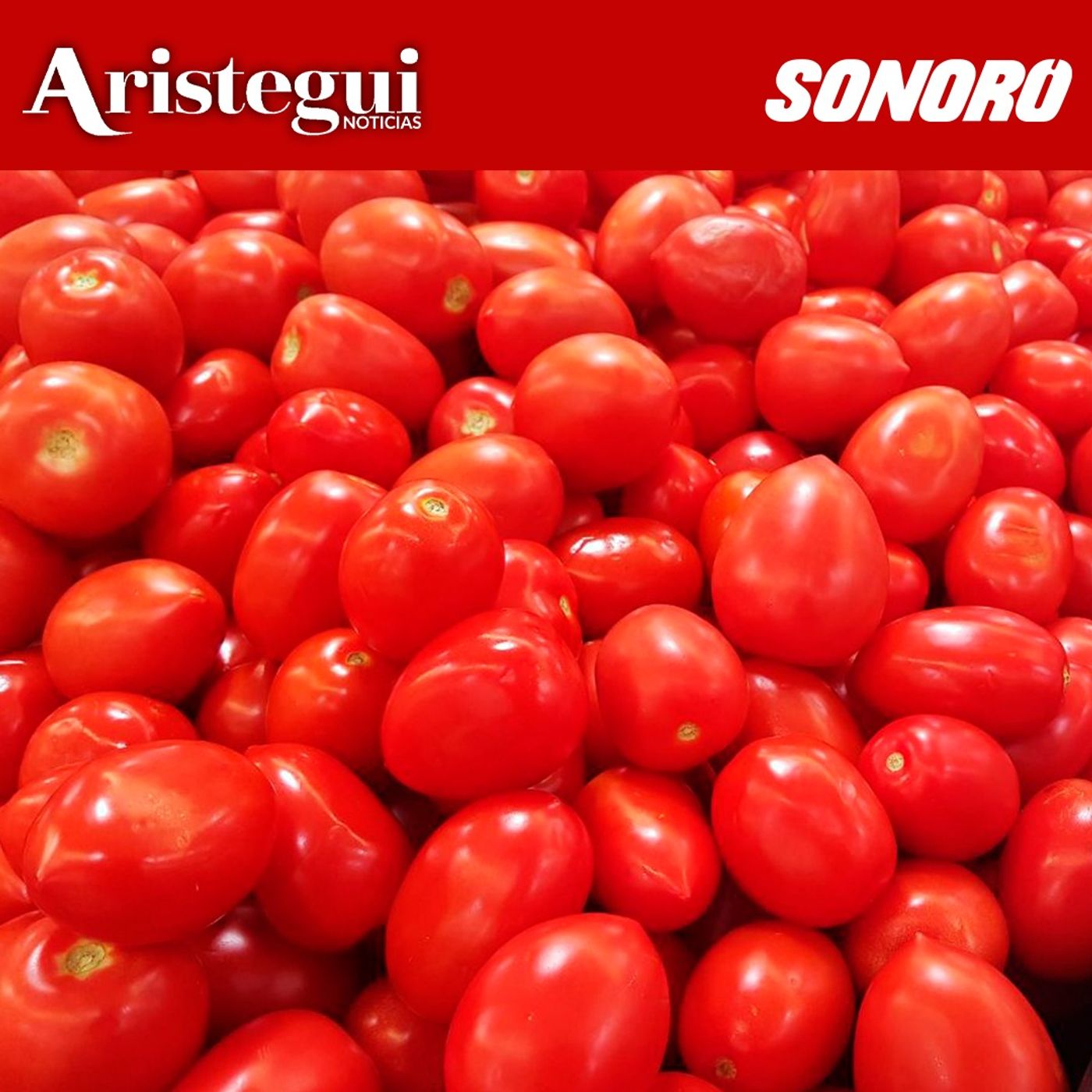 Arancel al tomate mexicano, Temor a impacto en alimentos, Trump amenaza con aranceles a Rusia - Resumen Diario