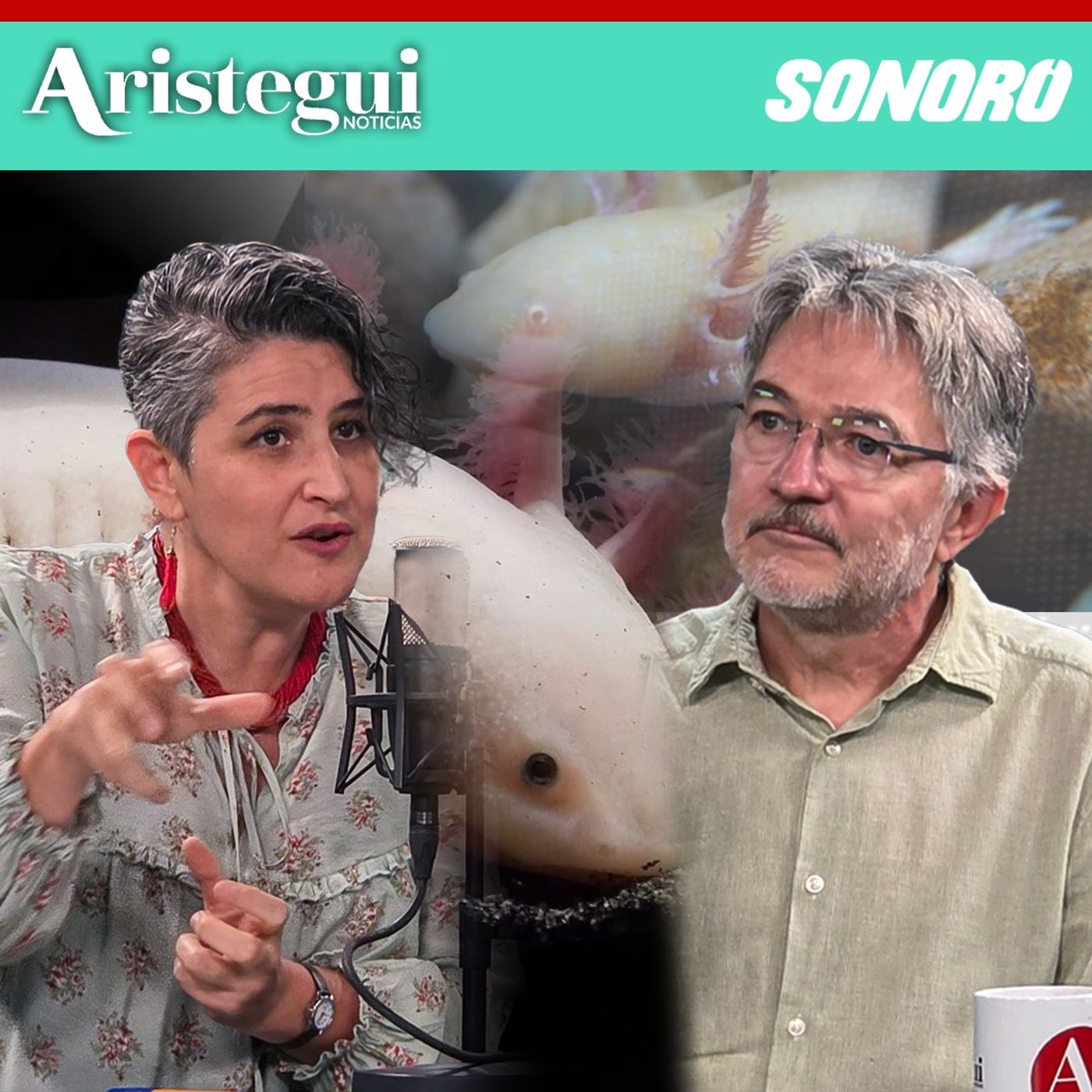 Entrevista: Aún hay esperanza para el axolote según resultados del censo en Xochimilco: científicos