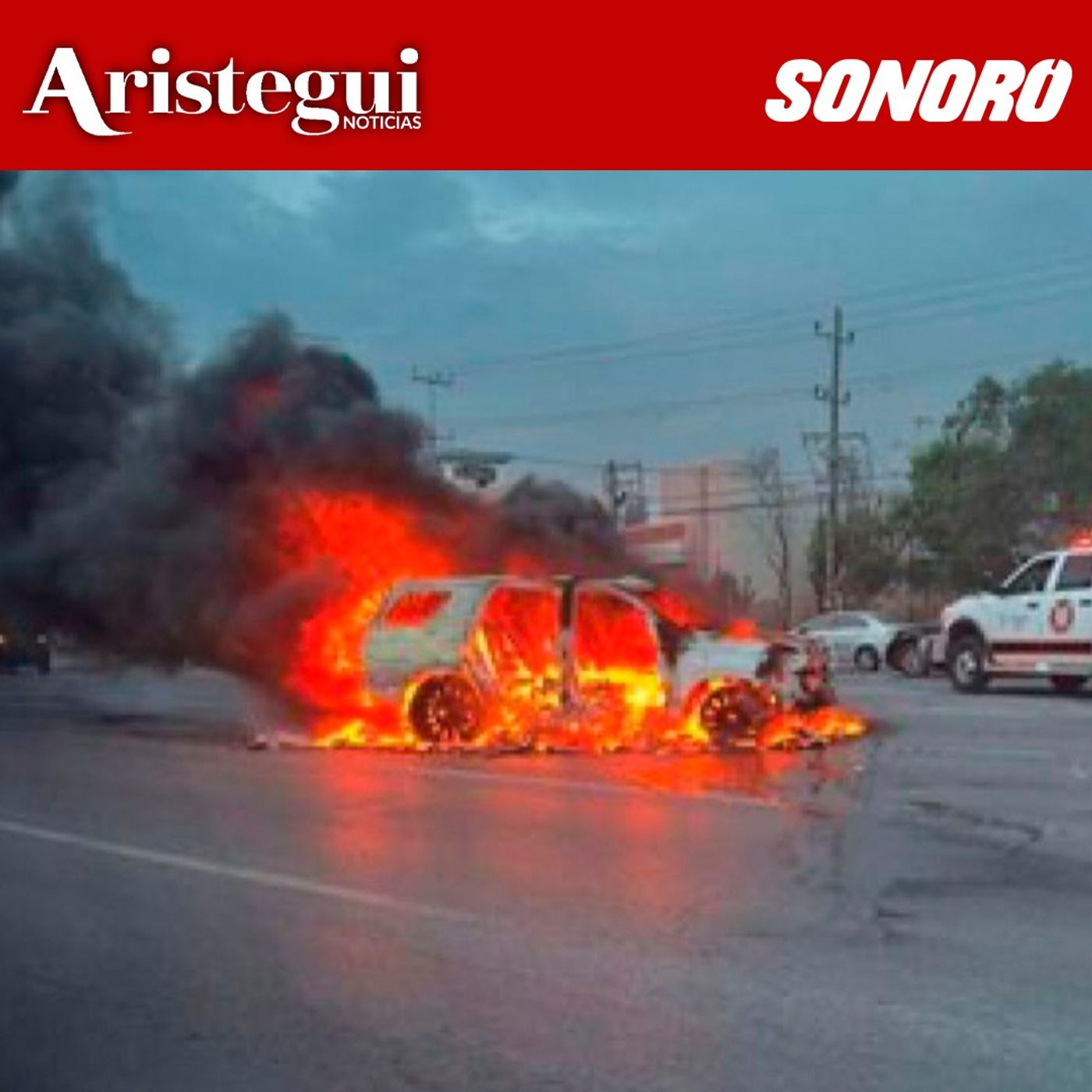 Comité sobre reforma electoral de Sheinbaum, Violencia golpea a FGR Tamaulipas y CROC Cancún - Resumen Diario