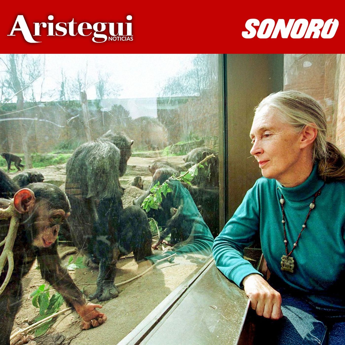 Reforma a Ley de Amparo será retroactiva, Israel intercepta flotilla, Adiós a Jane Goodall - Resumen Diario