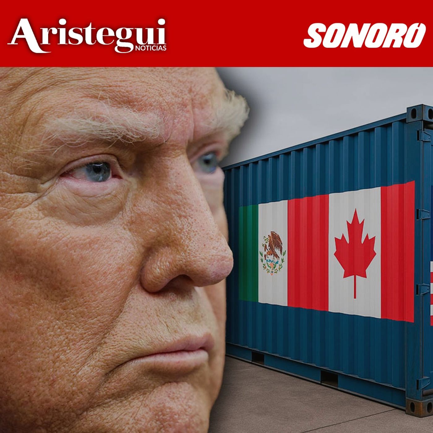 Trump llama 'irrelevante' al T-MEC, Mexicana gana Medalla Mundial de la Educación - Resumen Diario