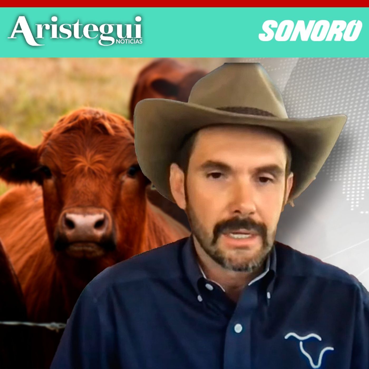 Entrevista: Ganaderos mexicanos exigen cierre total a importación de ganado bovino desde Centroamérica