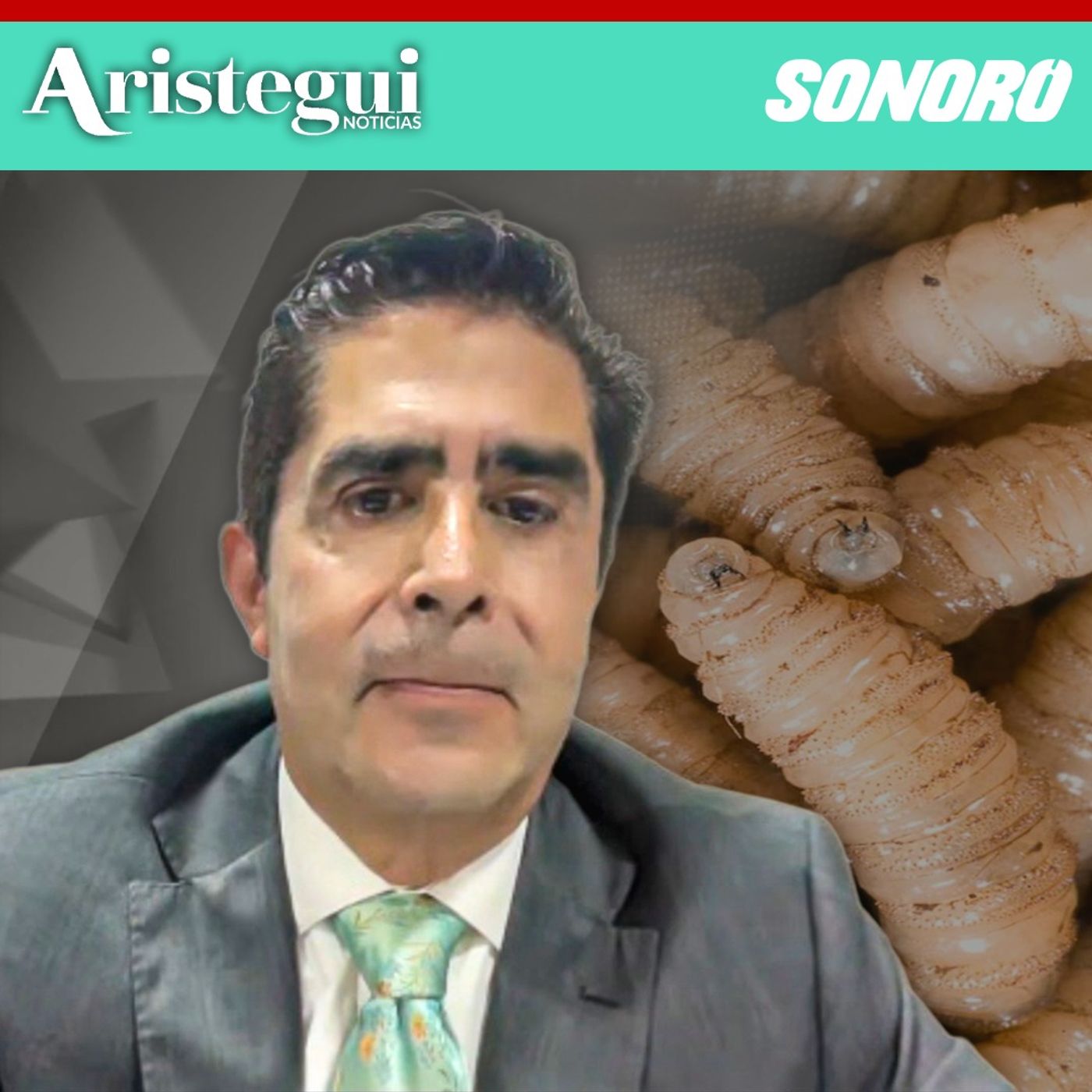 Entrevista: El ABC del gusano barrenador: moscas estériles, exportación ganadera y polémica con EE.UU.