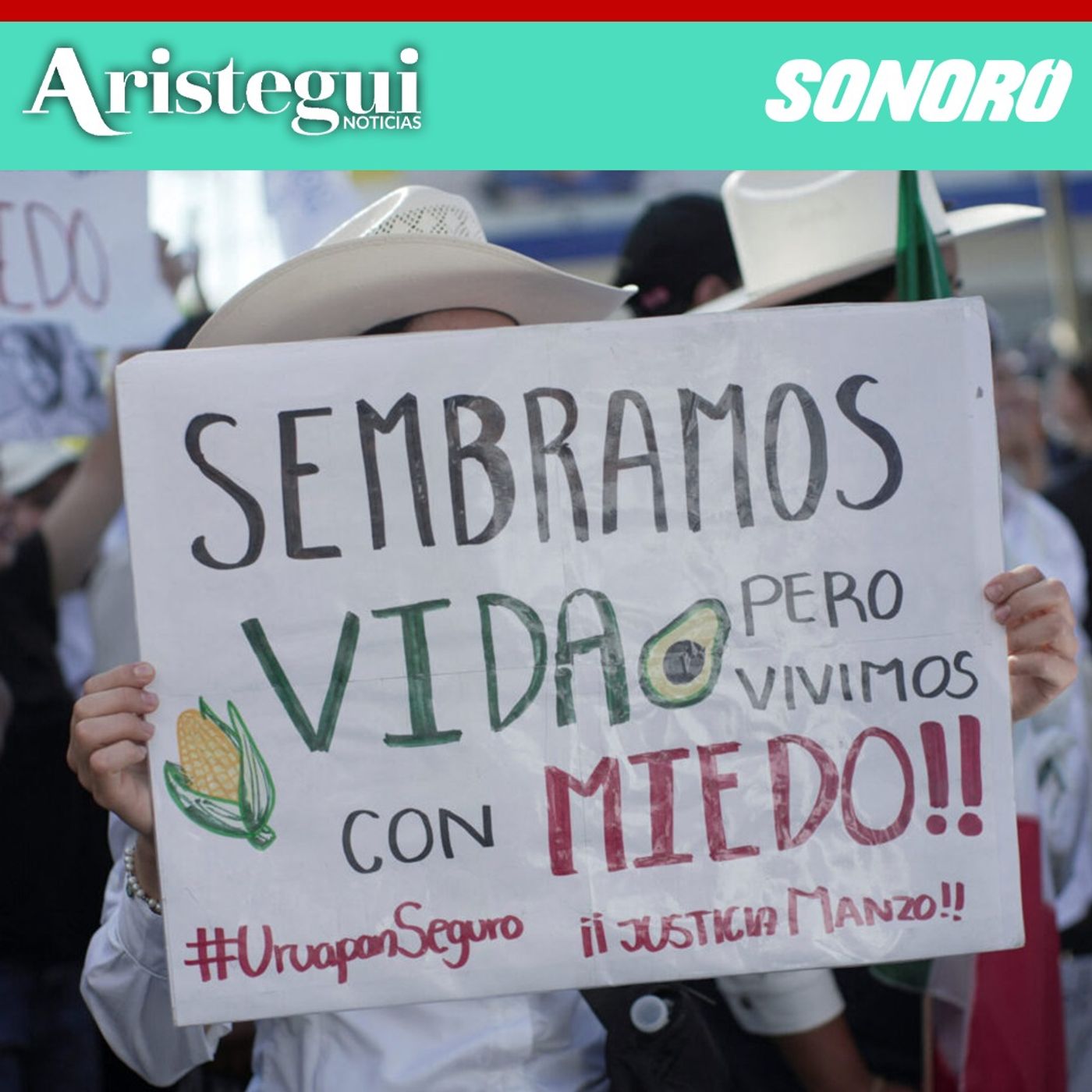 Plan Michoacán requiere evaluación ciudadana, eliminación de la corrupción y estrategia integral: Mesa de análisis