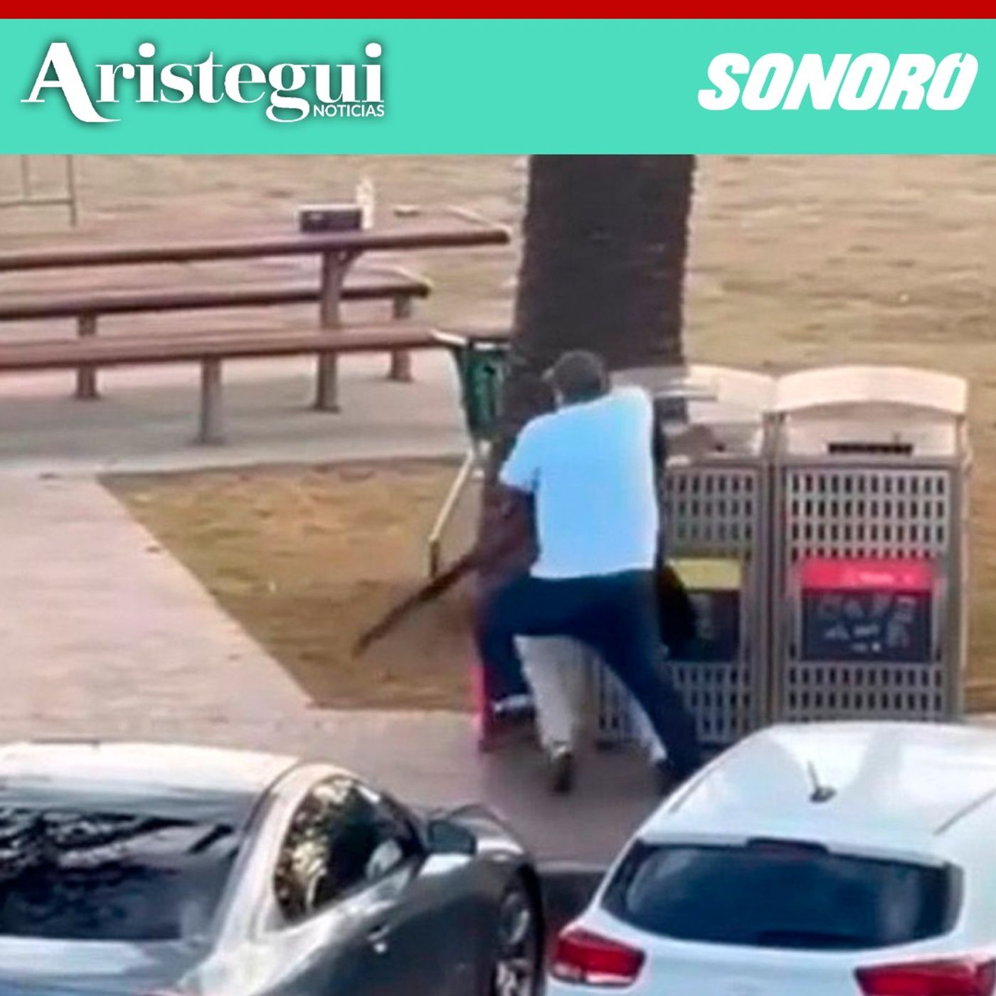 Ciudadano musulmán desarmó a uno de los atacantes en Bondi Beach, destaca académica